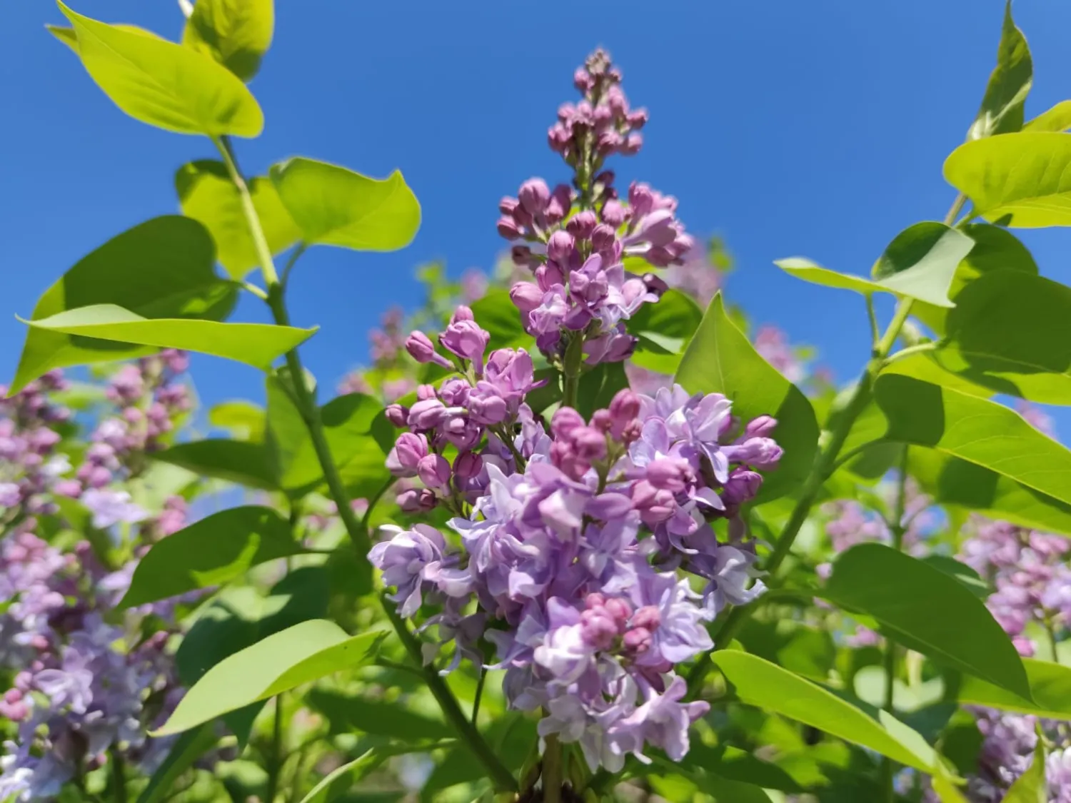 Дарьи Святохиной.