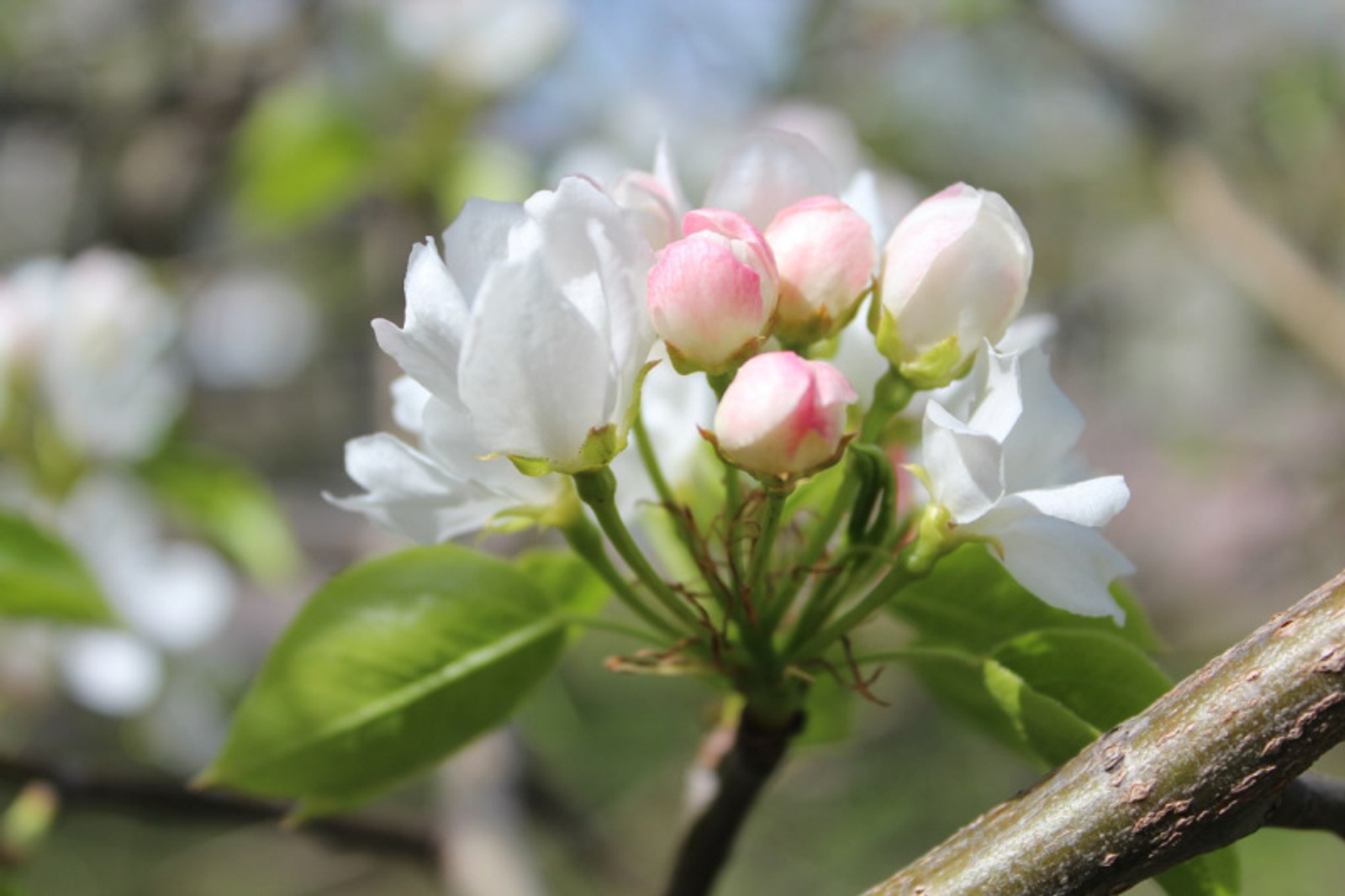 Фото Дарьи Святохиной.