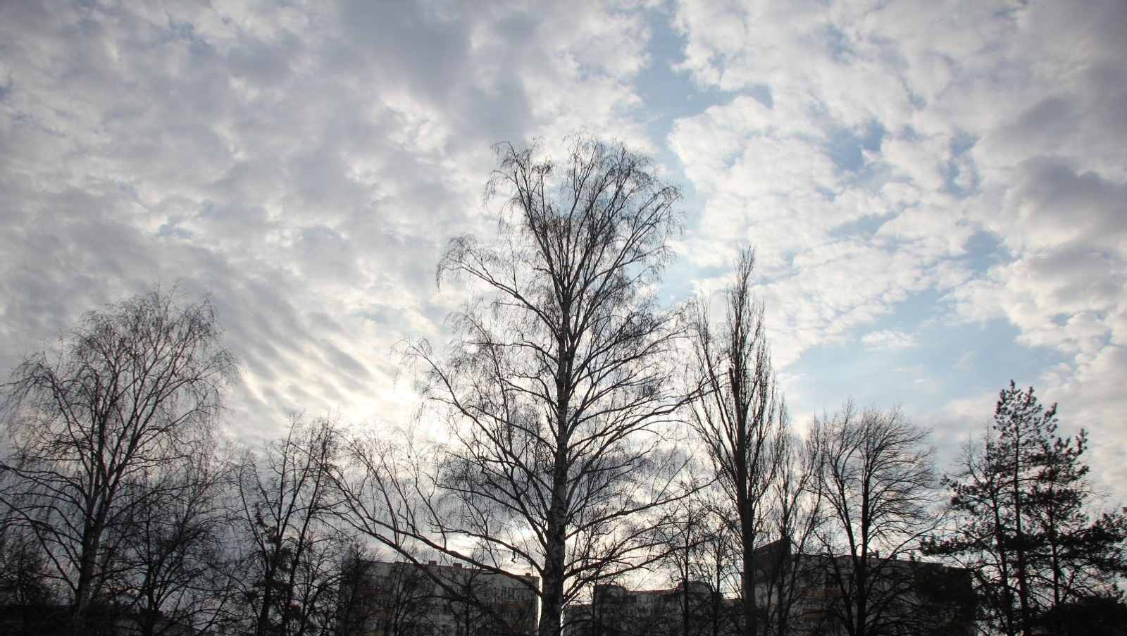 Владимира Шакиева. «Общественная электронная газета».