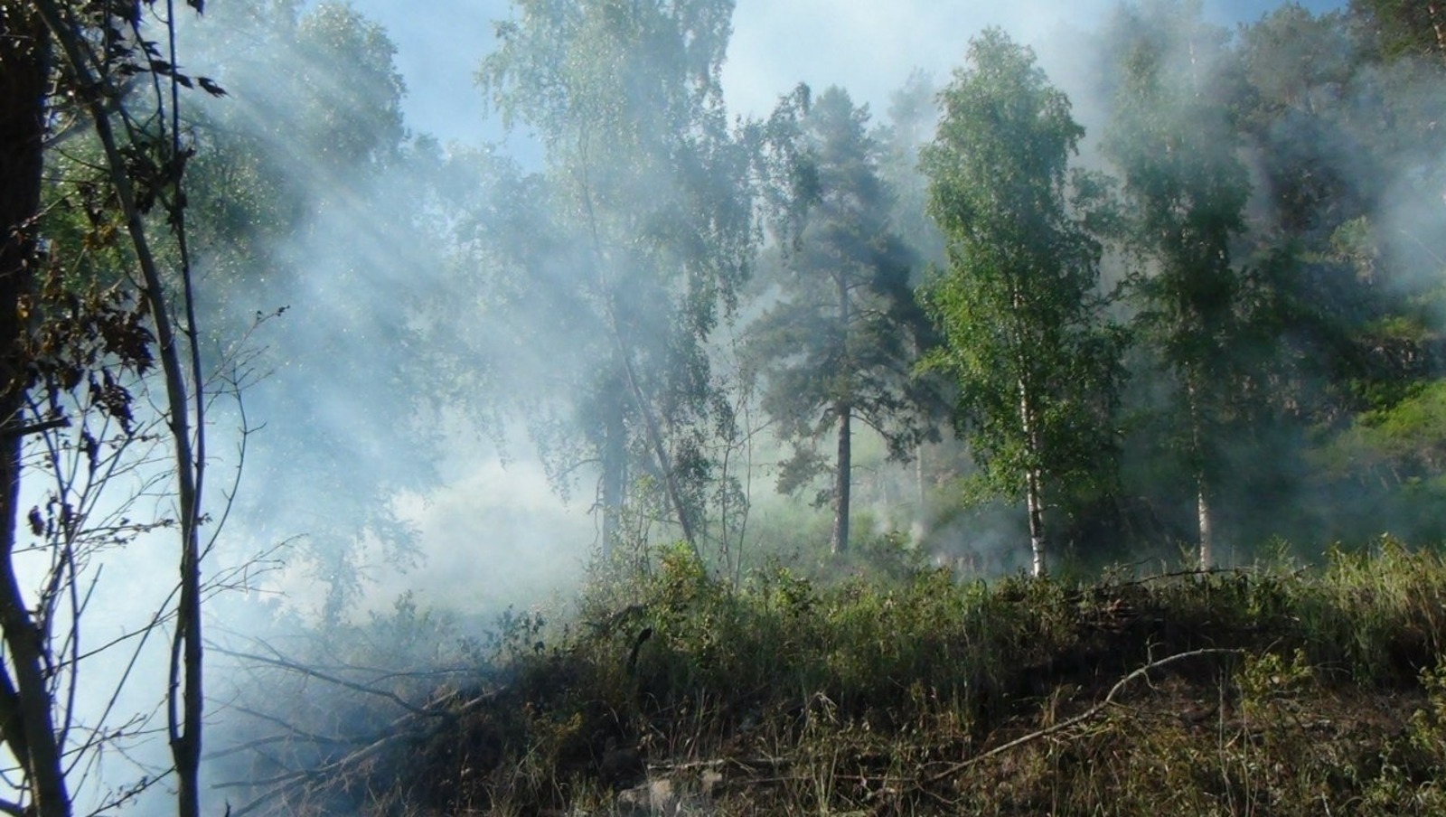 Владимира Шакиева.