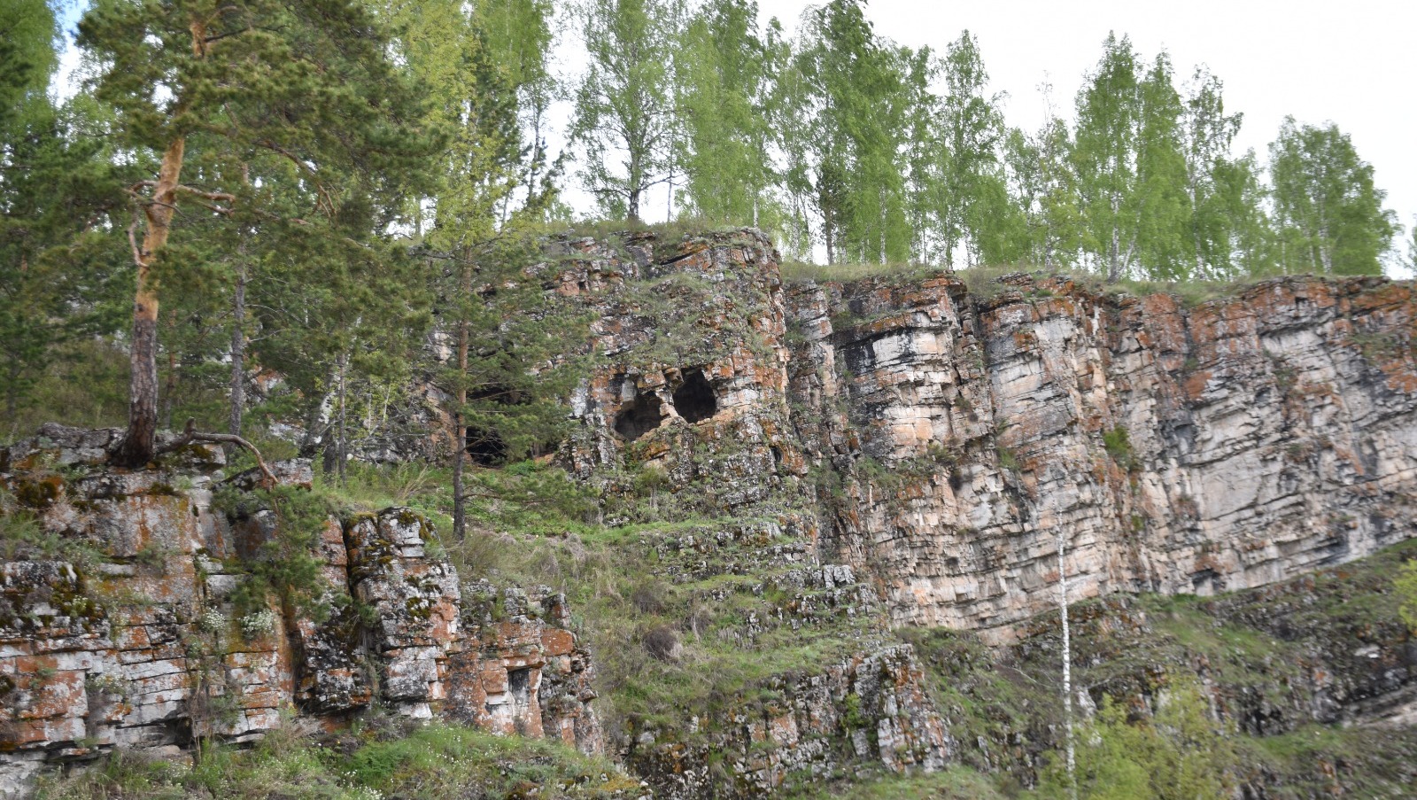 Елены Колоколовой.