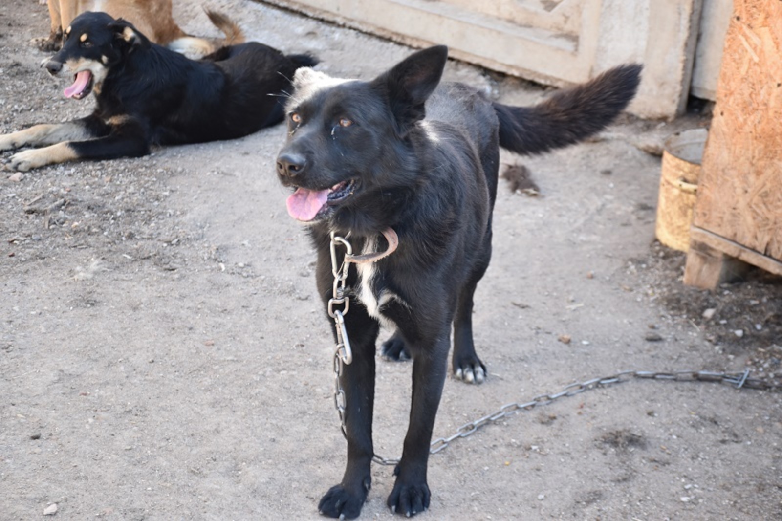 Фото автора.