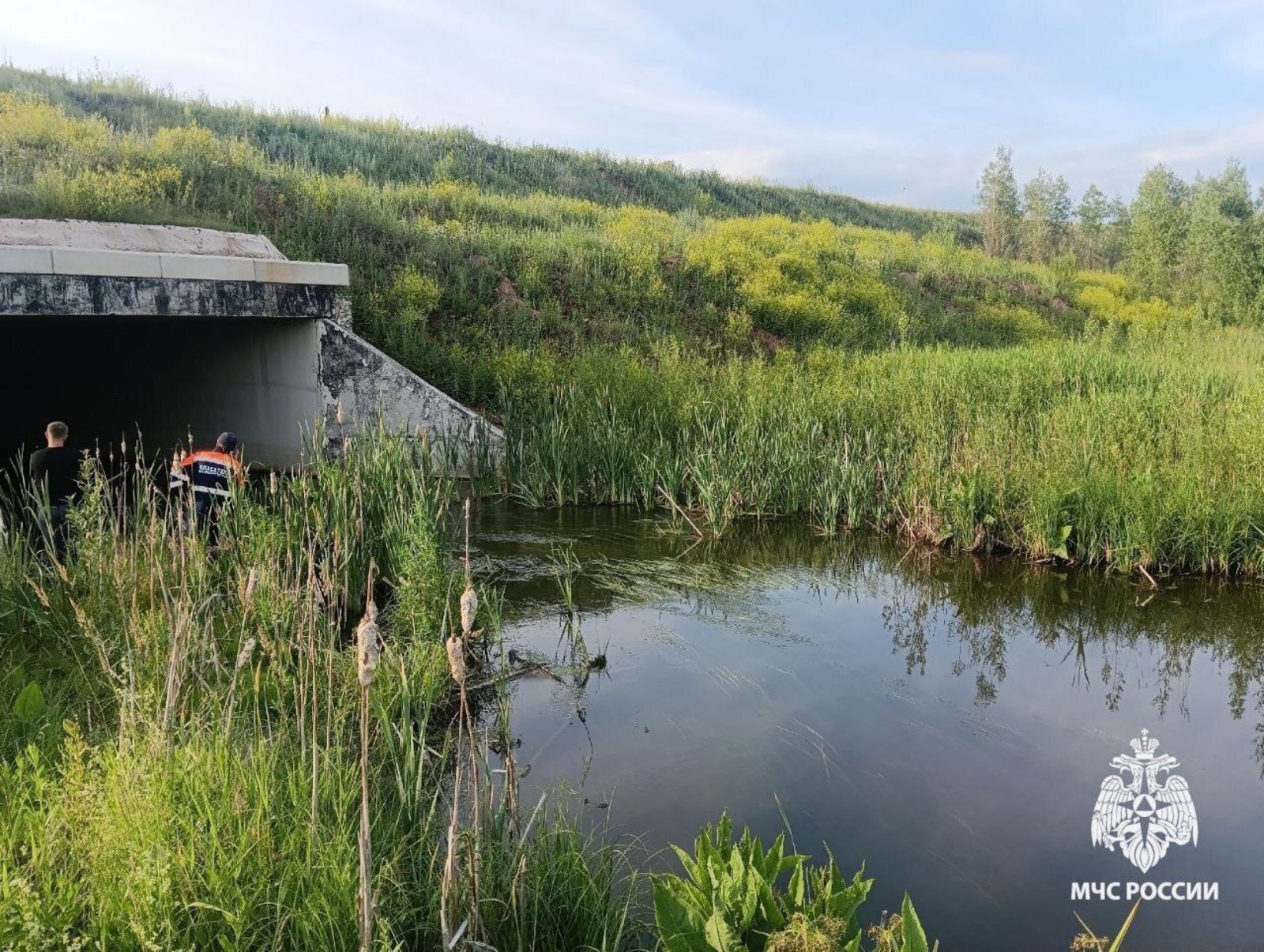 ГУ МЧС по РБ.