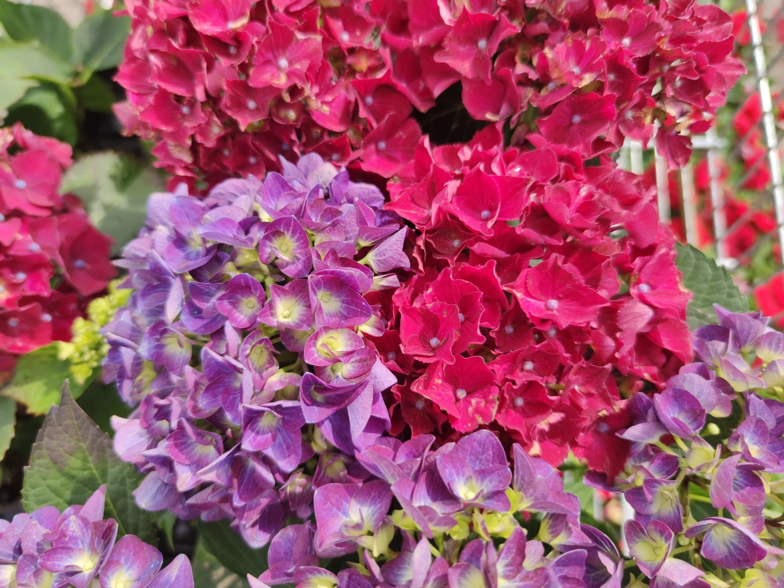 Дарьи Святохиной.