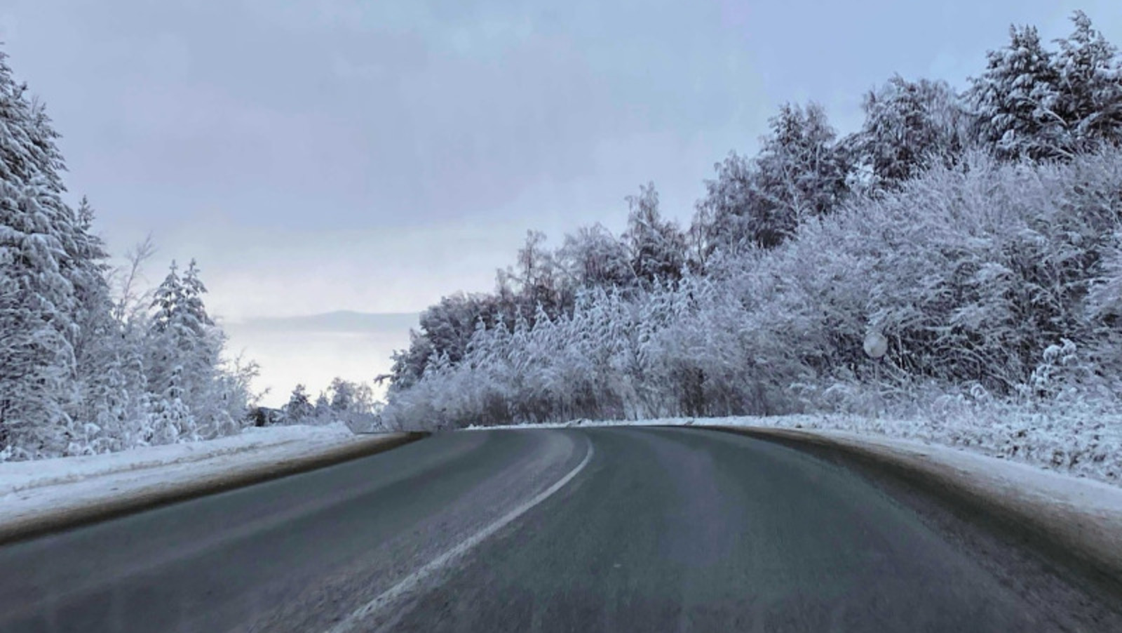 Елены Колоколовой.