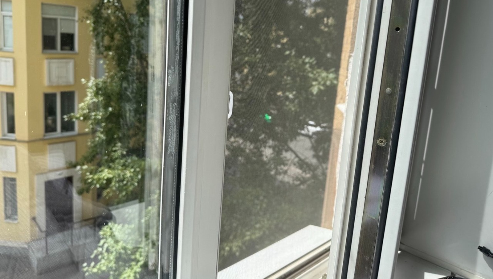 Елены Колоколовой.