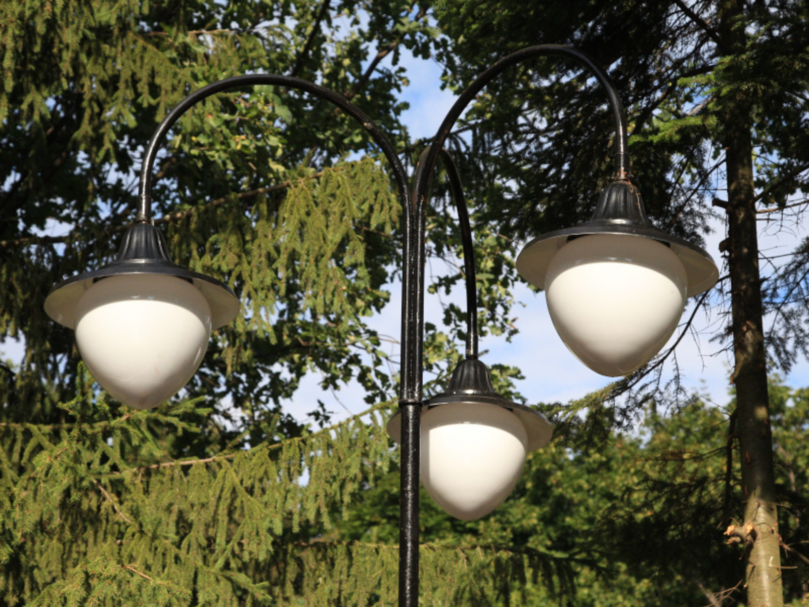 Фото Олега Яровикова.