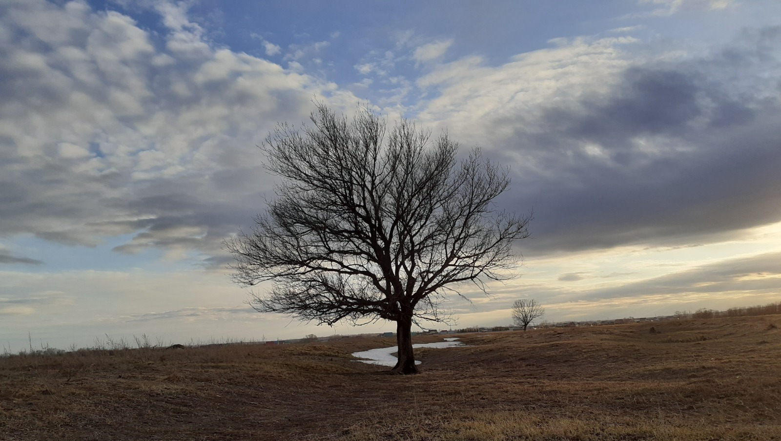 Владимира Шакиева.