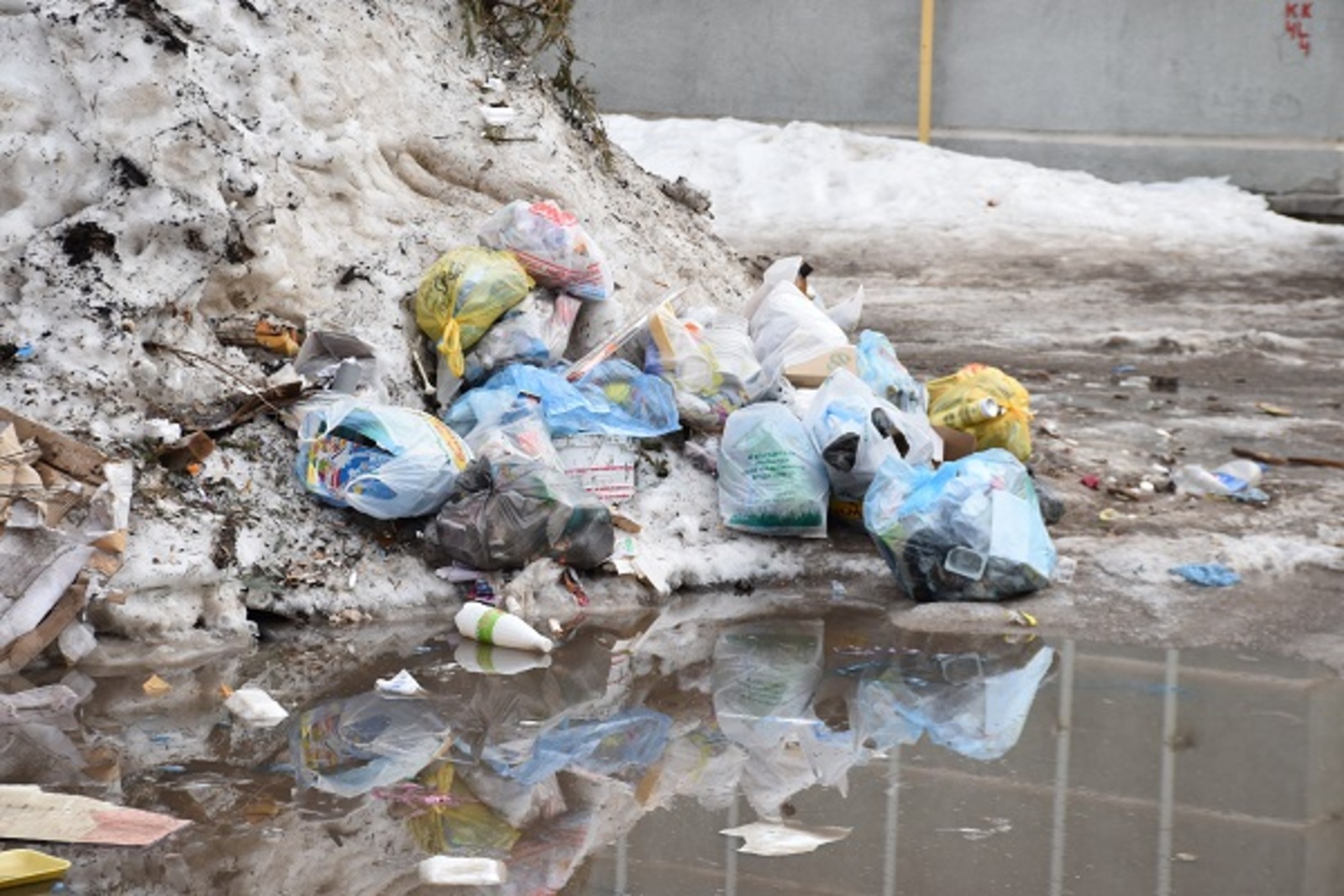 Фото Елены Колоколовой.