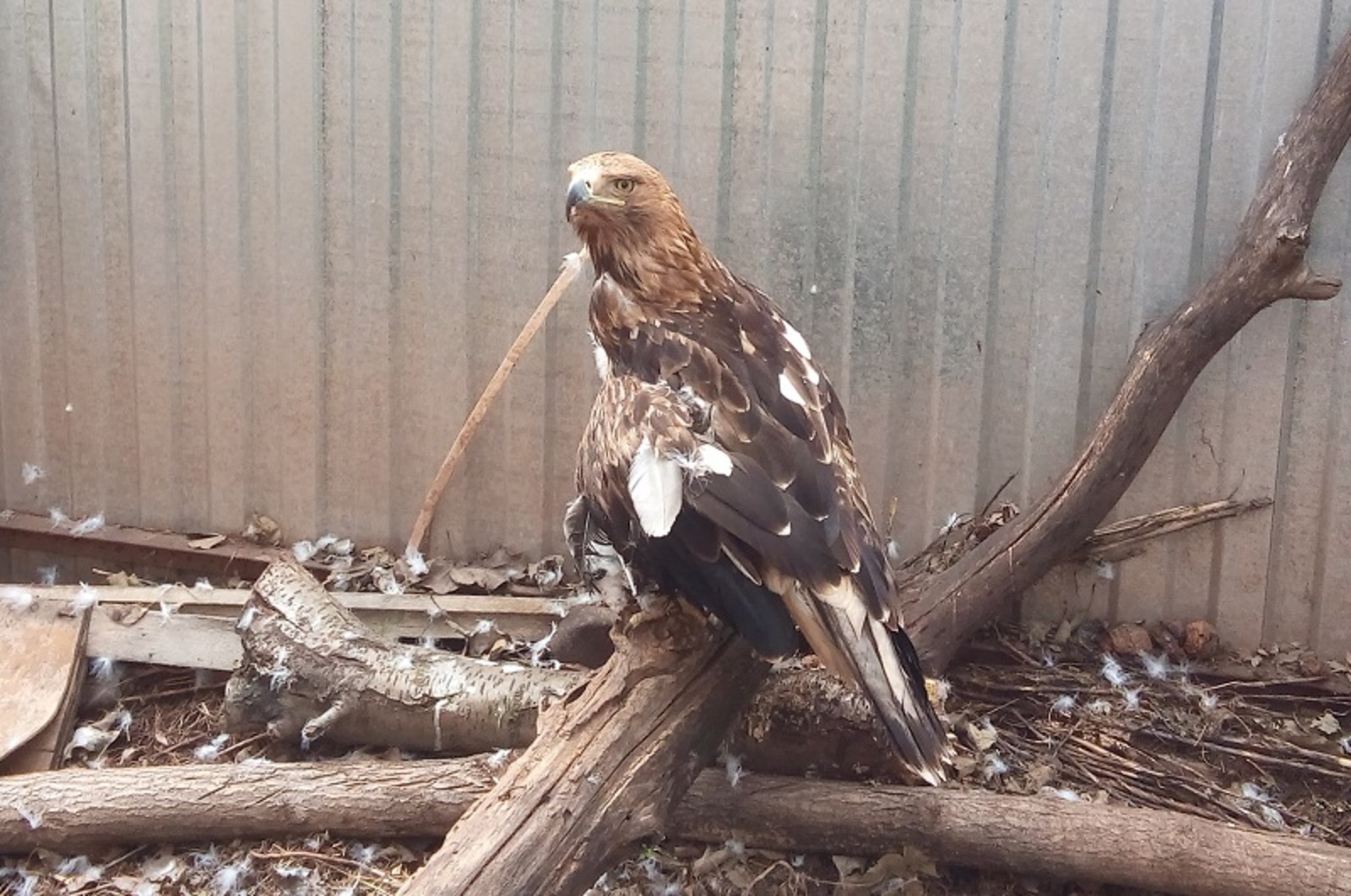 Фото автора.