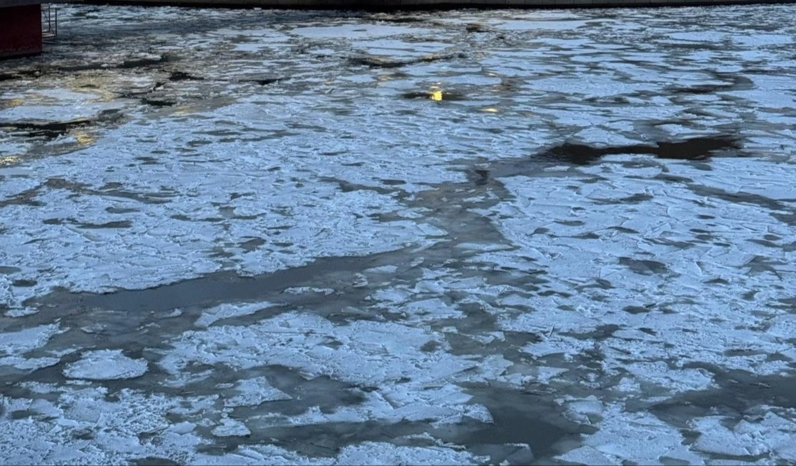 Елены Колоколовой. «Общественная электронная газета».