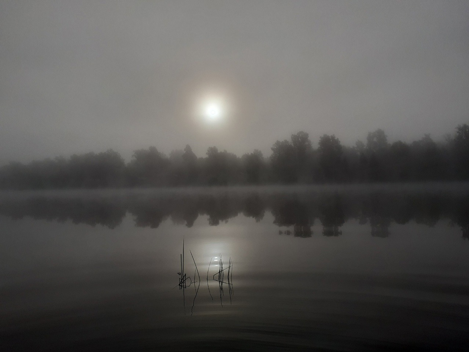 Владимира Шакиева.