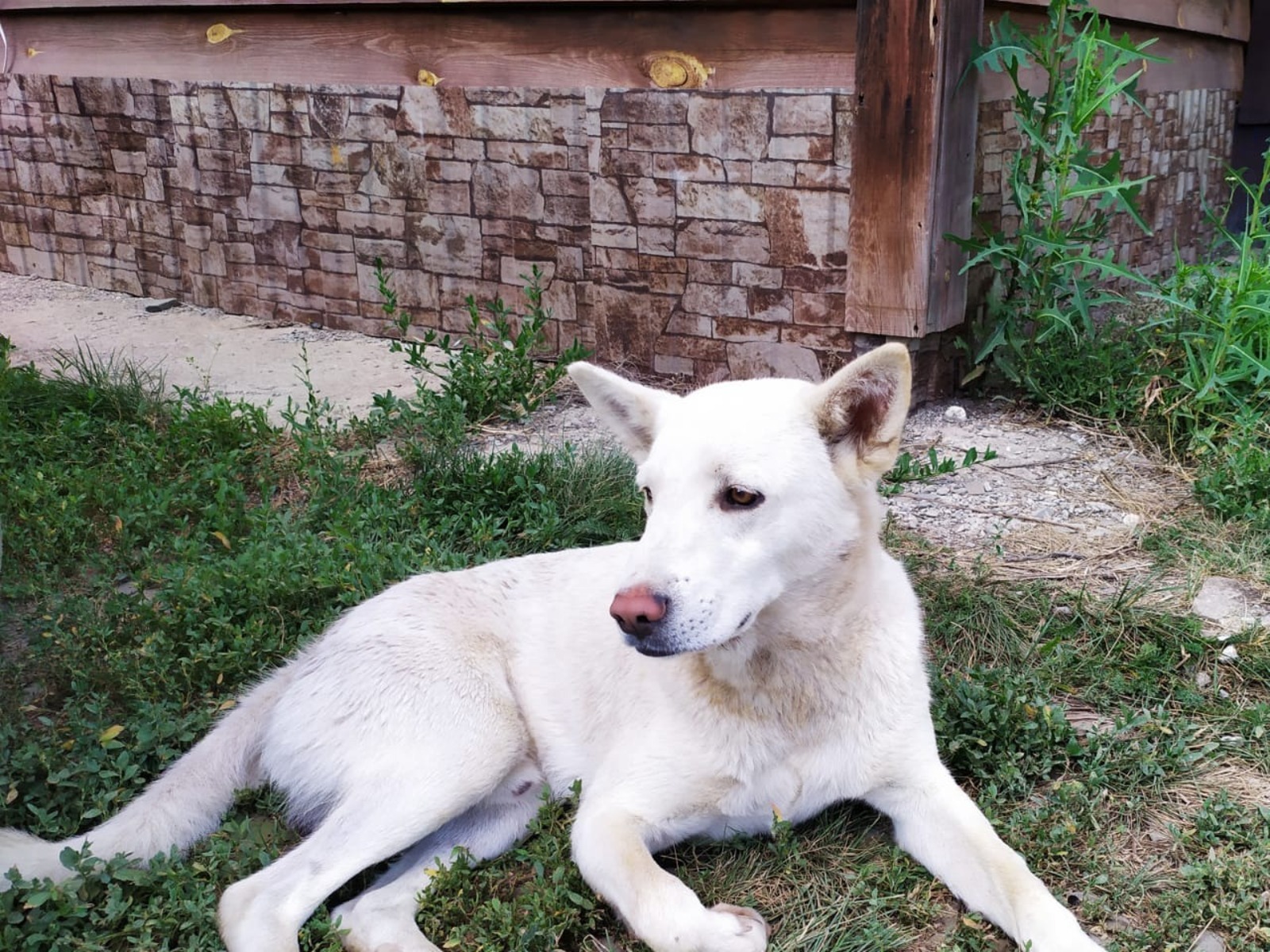 Васили Саитовой.