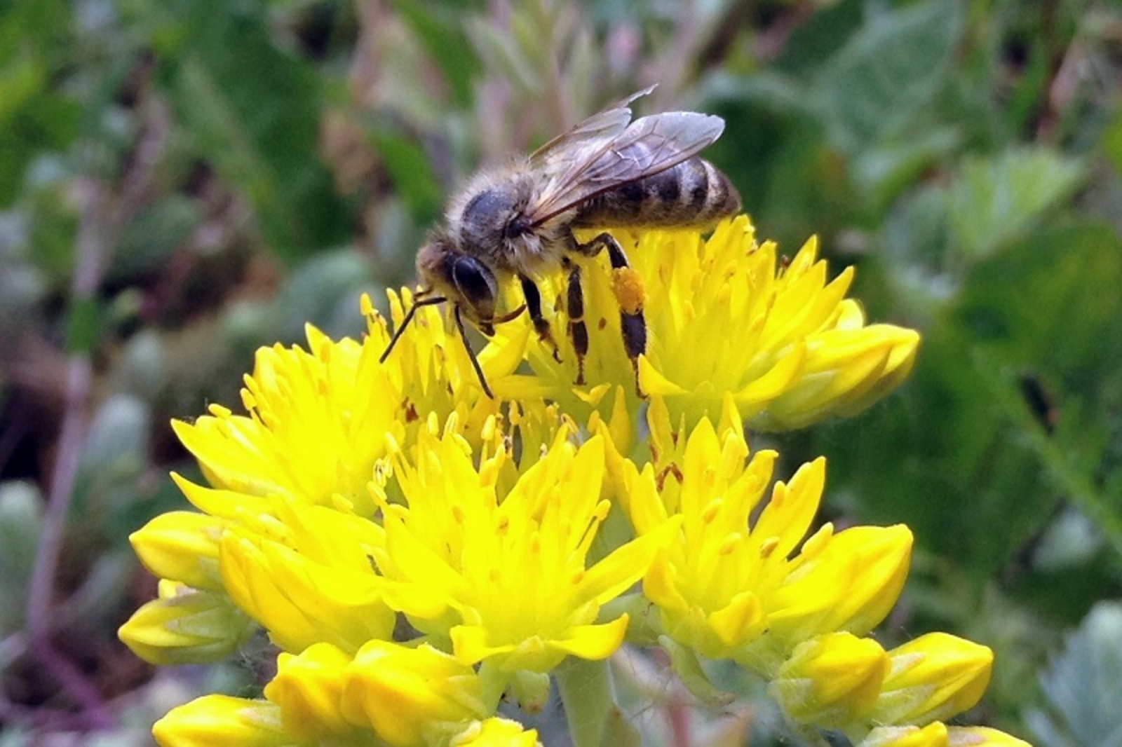 Фото: ИА «Башинформ».