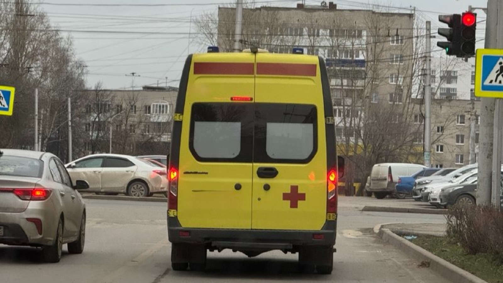 Елены Колоколовой.  «Общественная электронная газета».