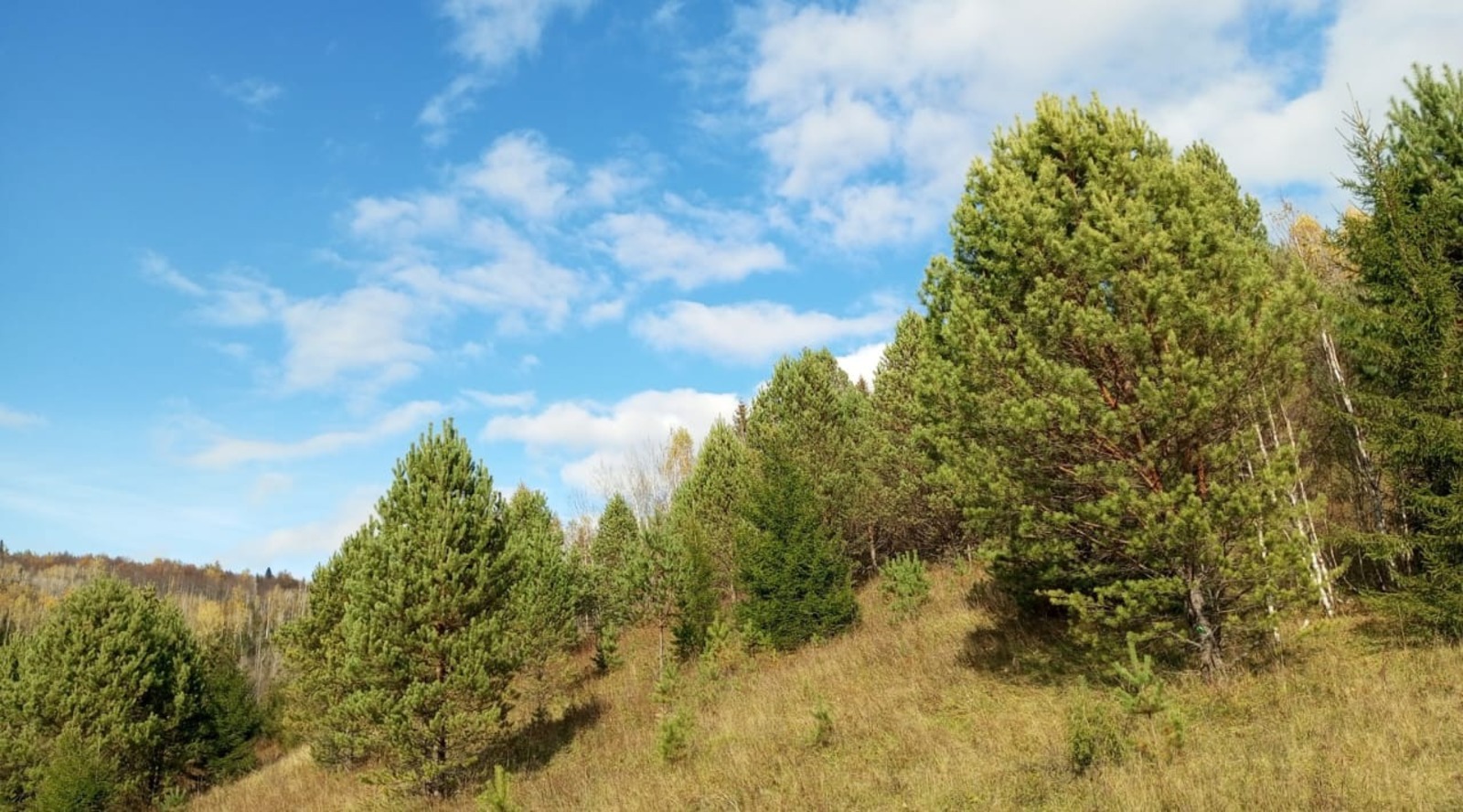 Евгении Сюткиной.