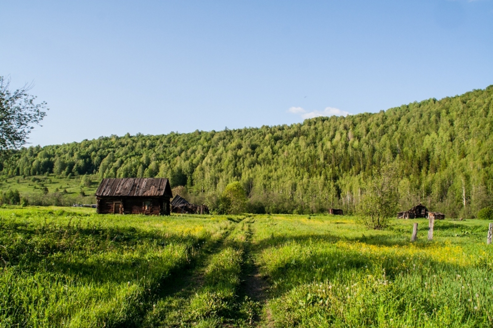 Фото автора.