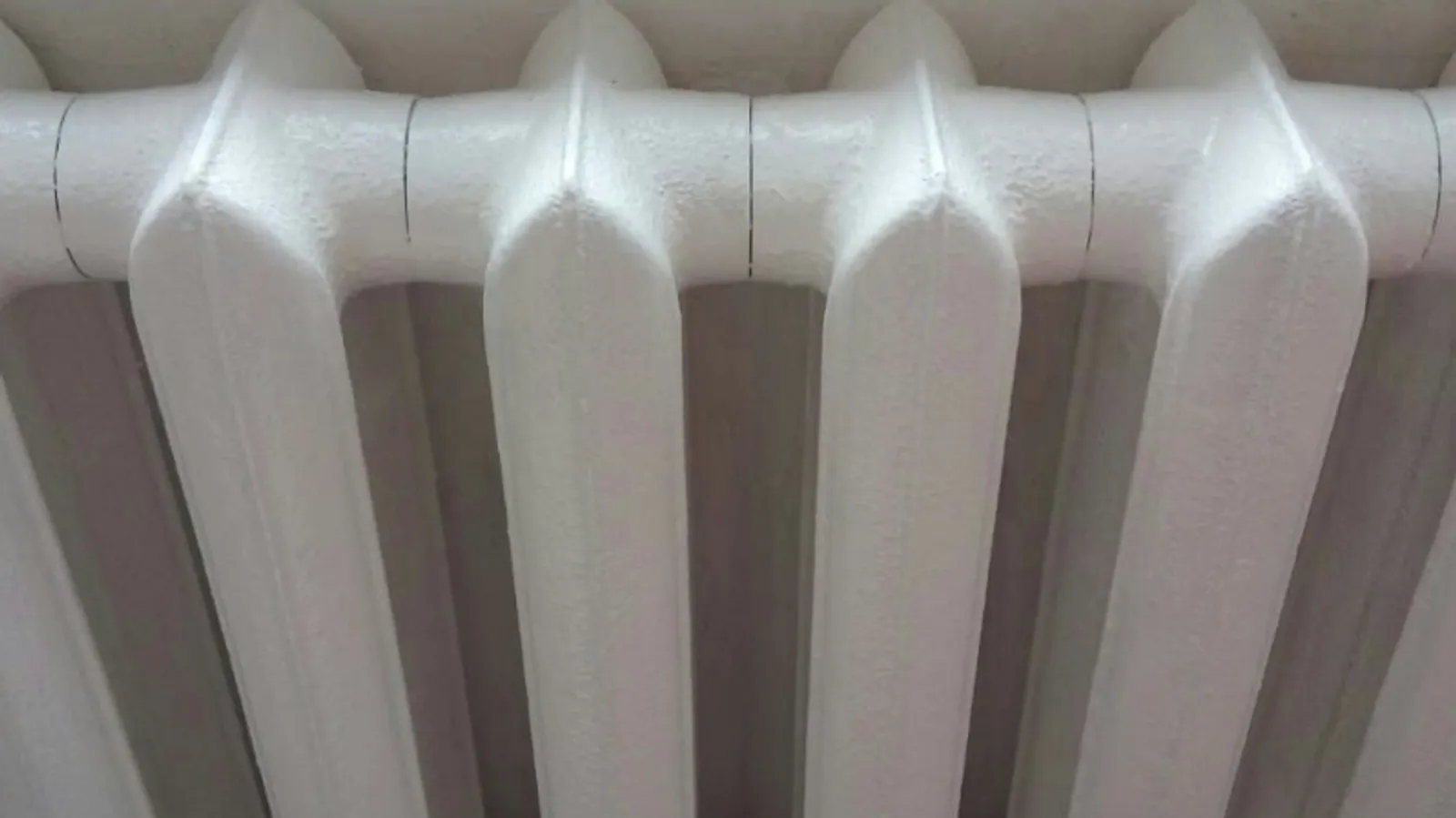 Фото Евгении Сюткиной.