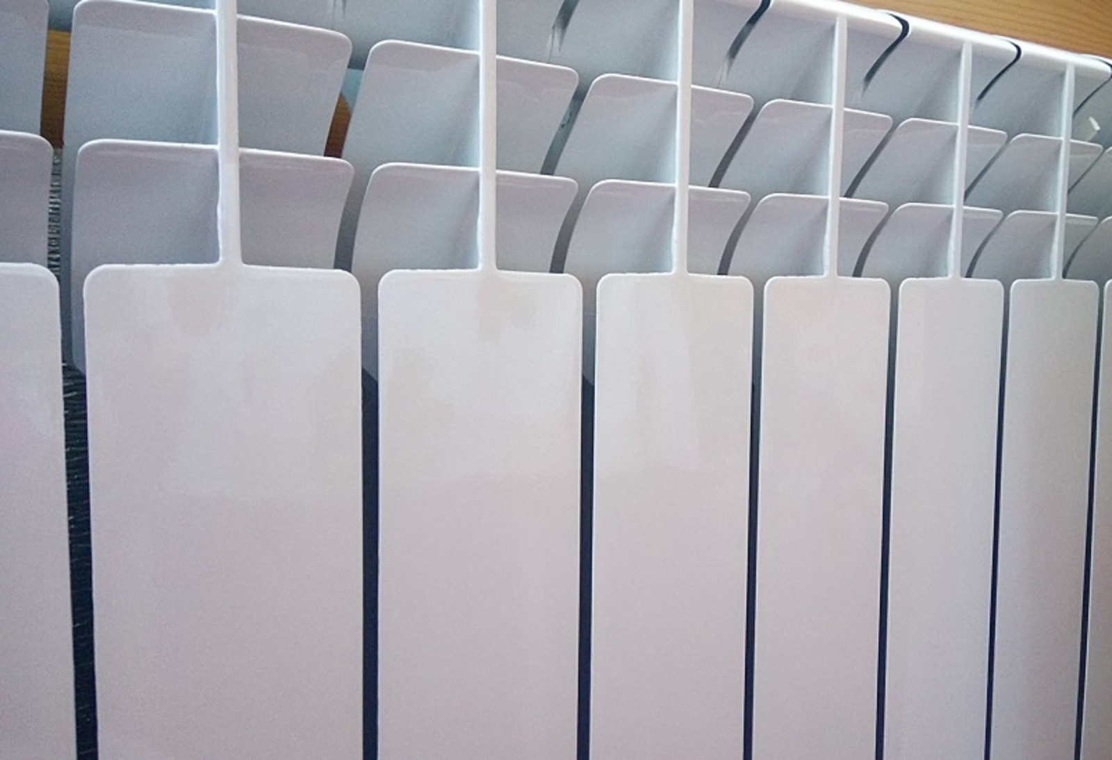 Фото Васили Саитовой.