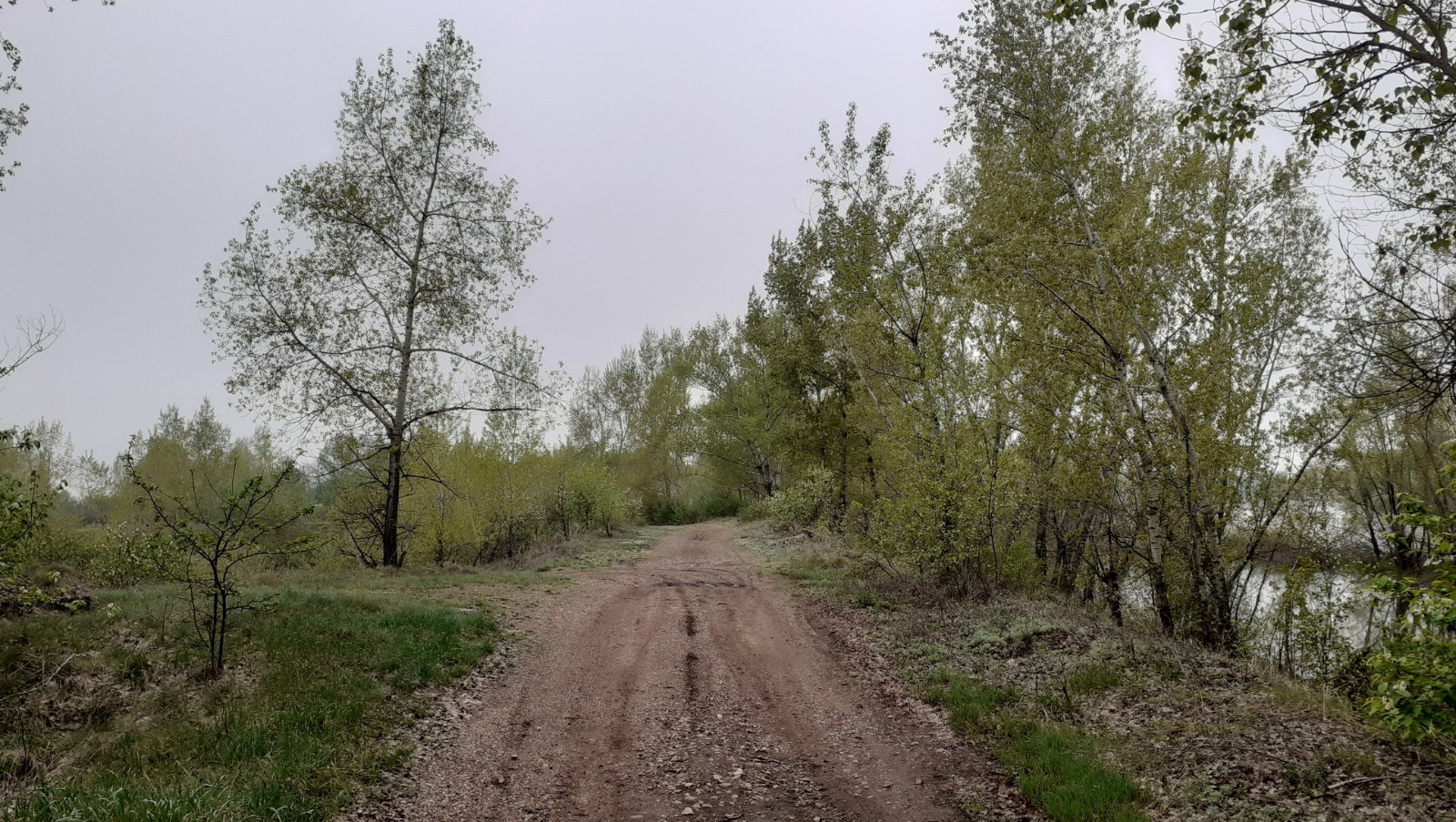 Владимира Шакиева.