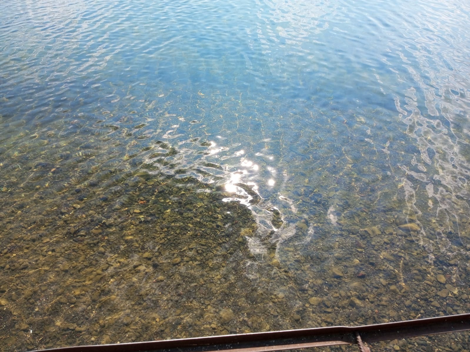 Евгении Сюткиной.