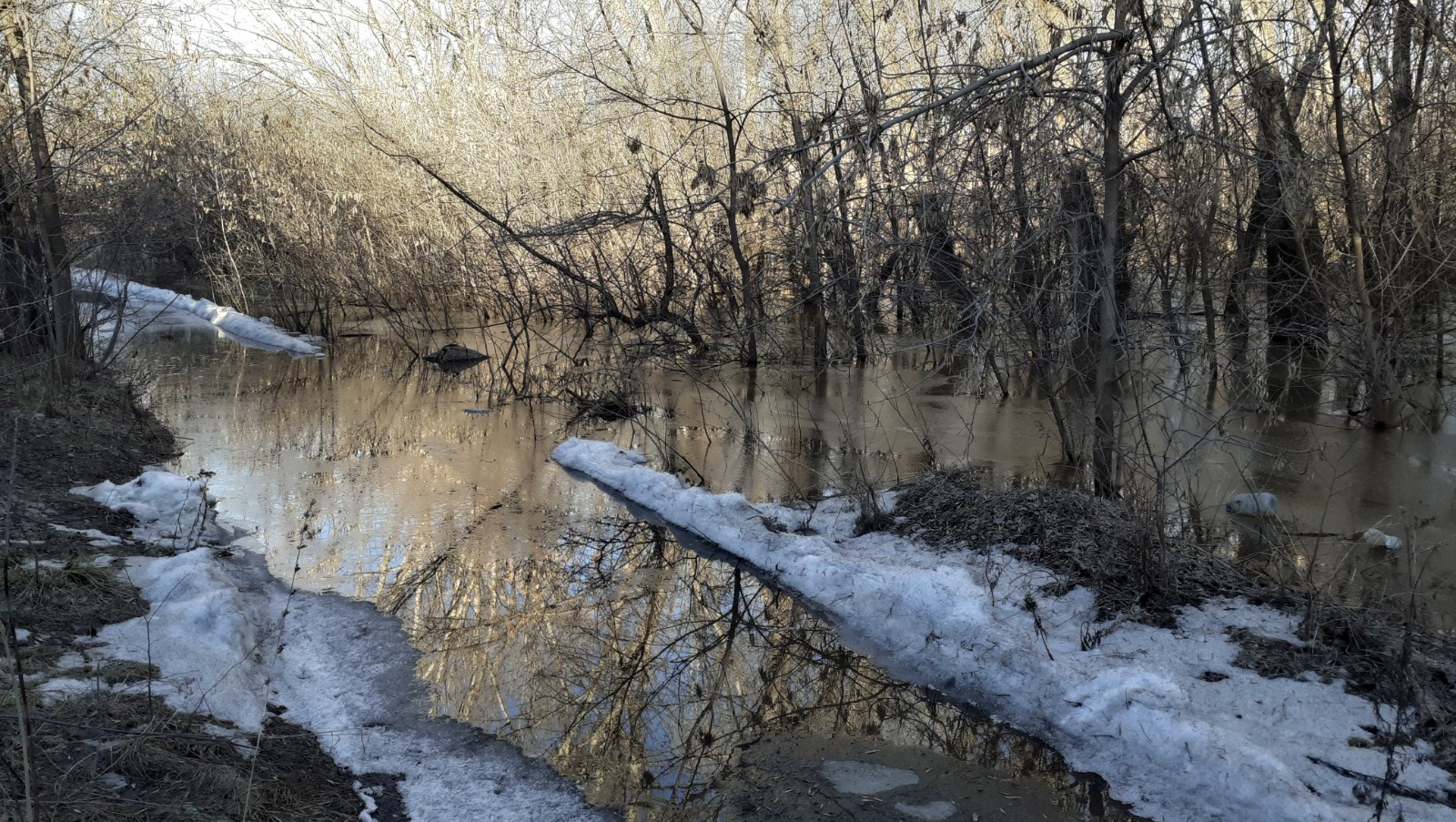 Владимира Шакиева.