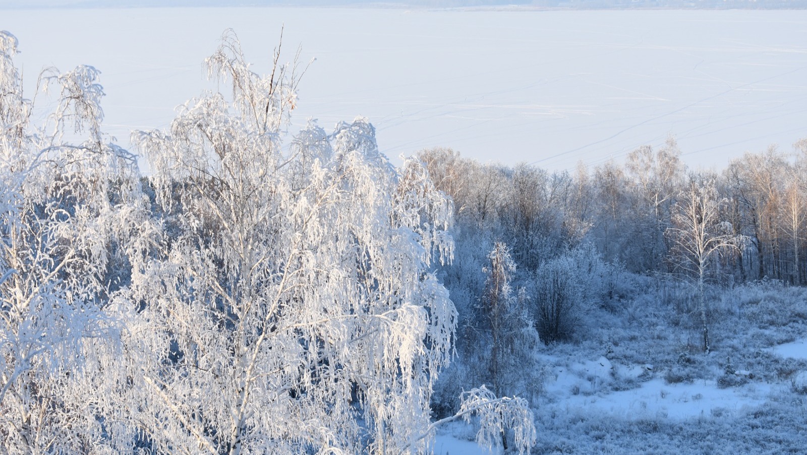 Елены Колоколовой. «Общественная электронная газета».