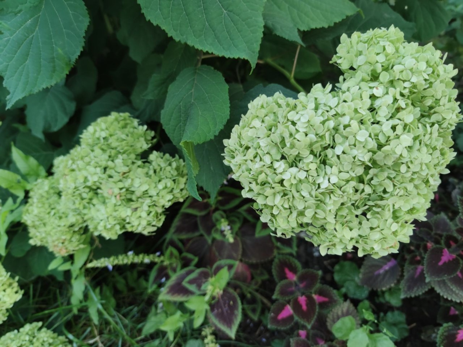 Дарьи Святохиной.