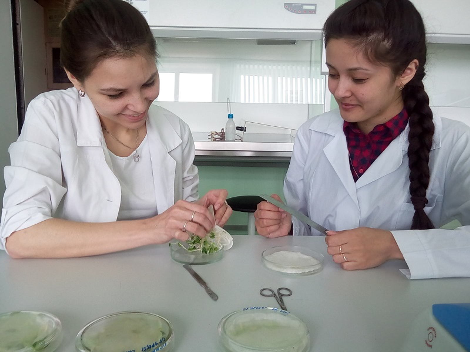 Фото предоставлено Лирой Гайсиной.