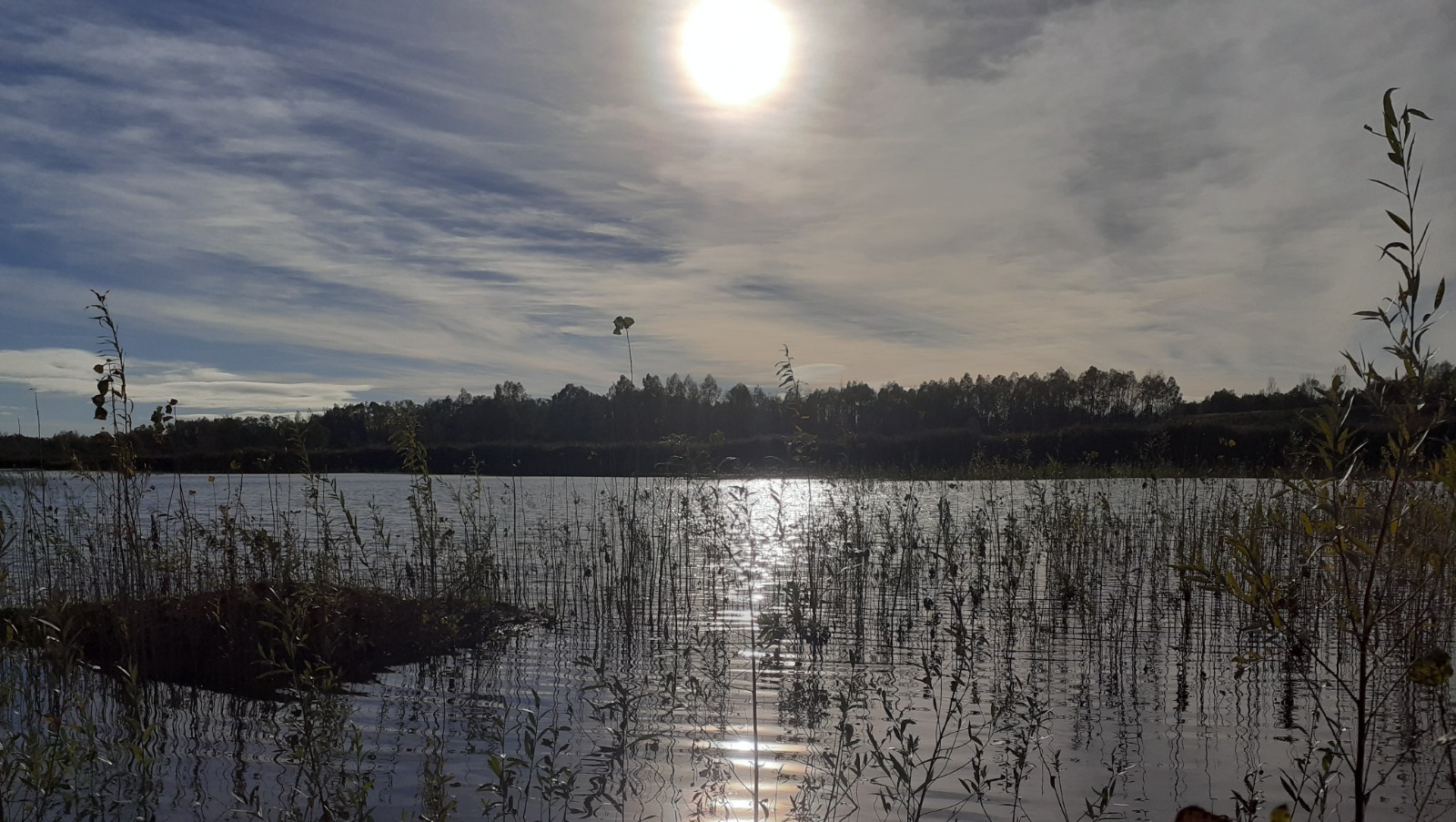 Владимира Шакиева. "Общественная электронная газета".