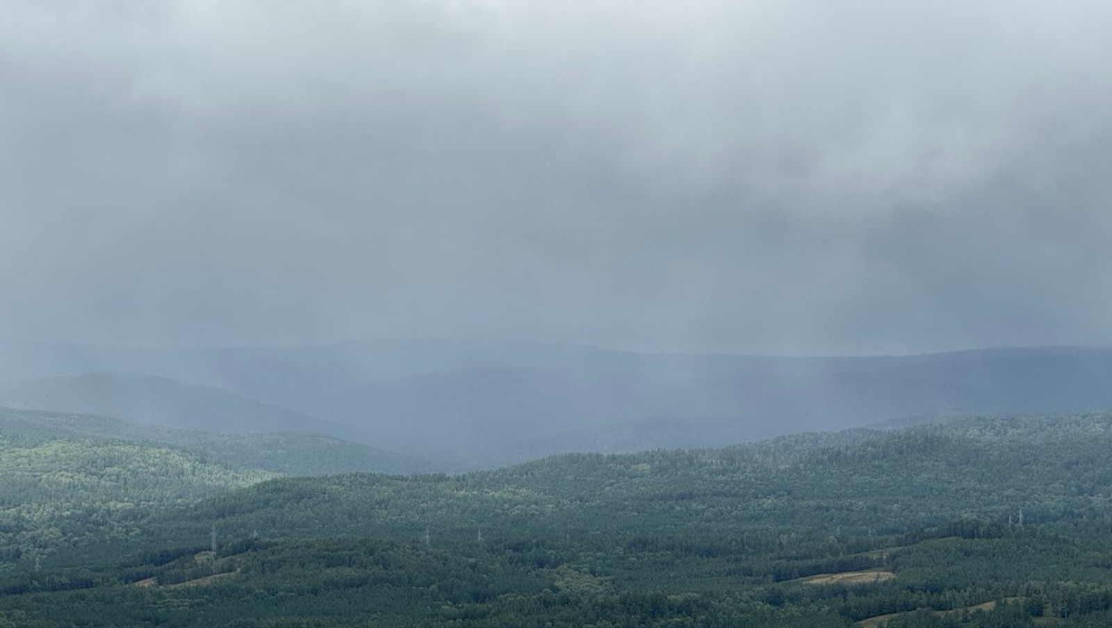 Елены Колоколовой.