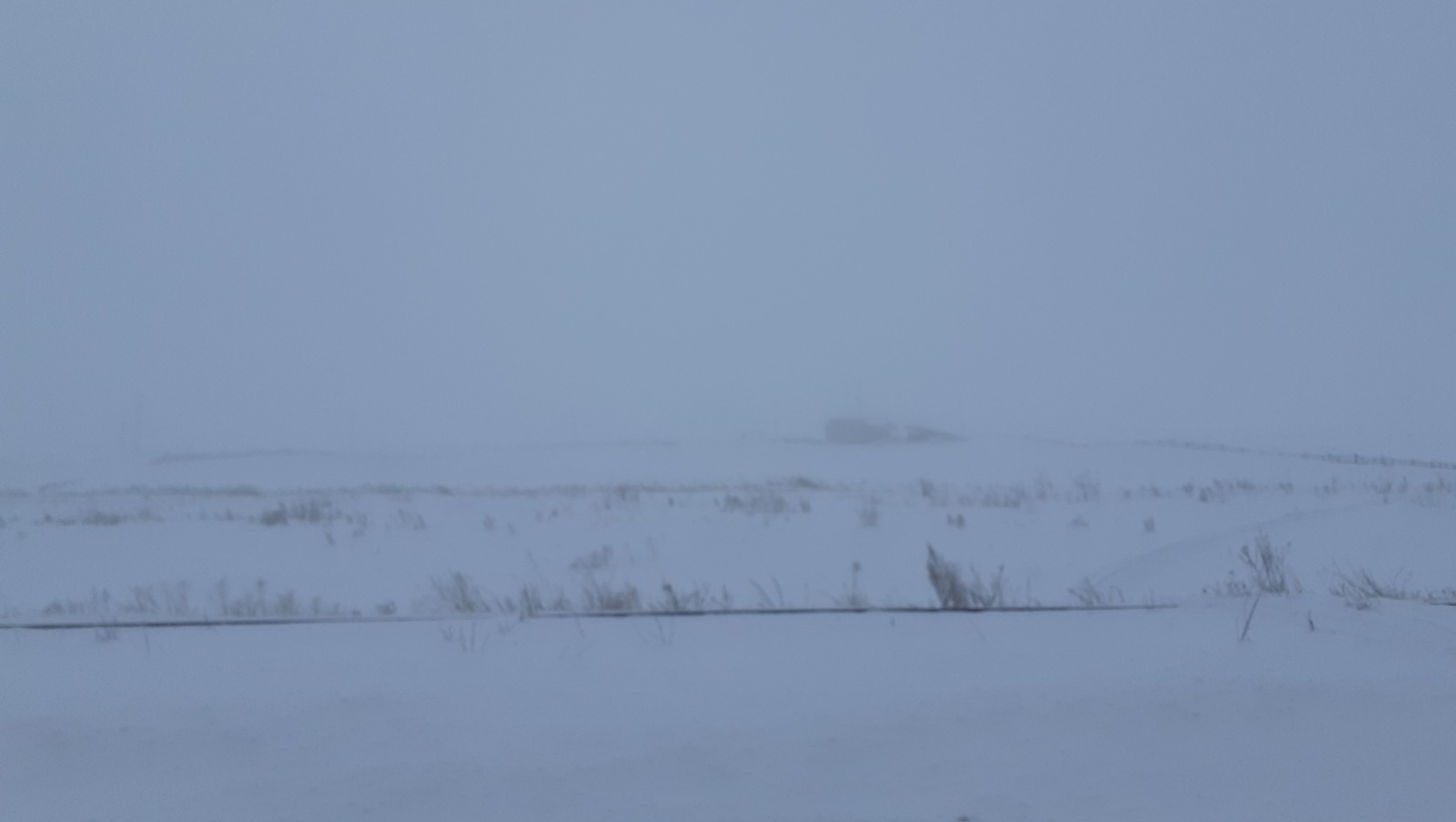 Владимира Шакиева. «Общественная электронная газета».