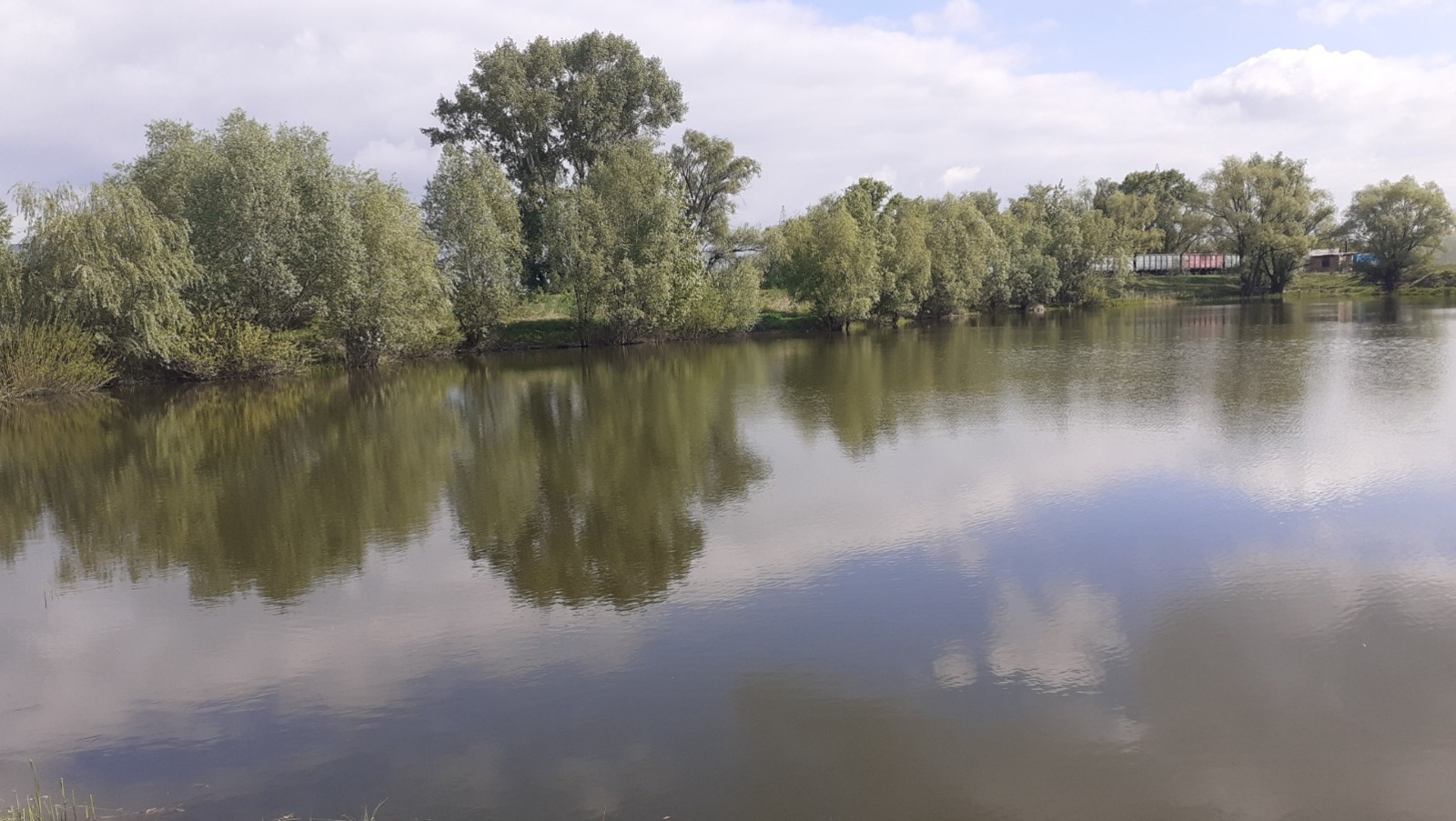 Владимира Шакиева.