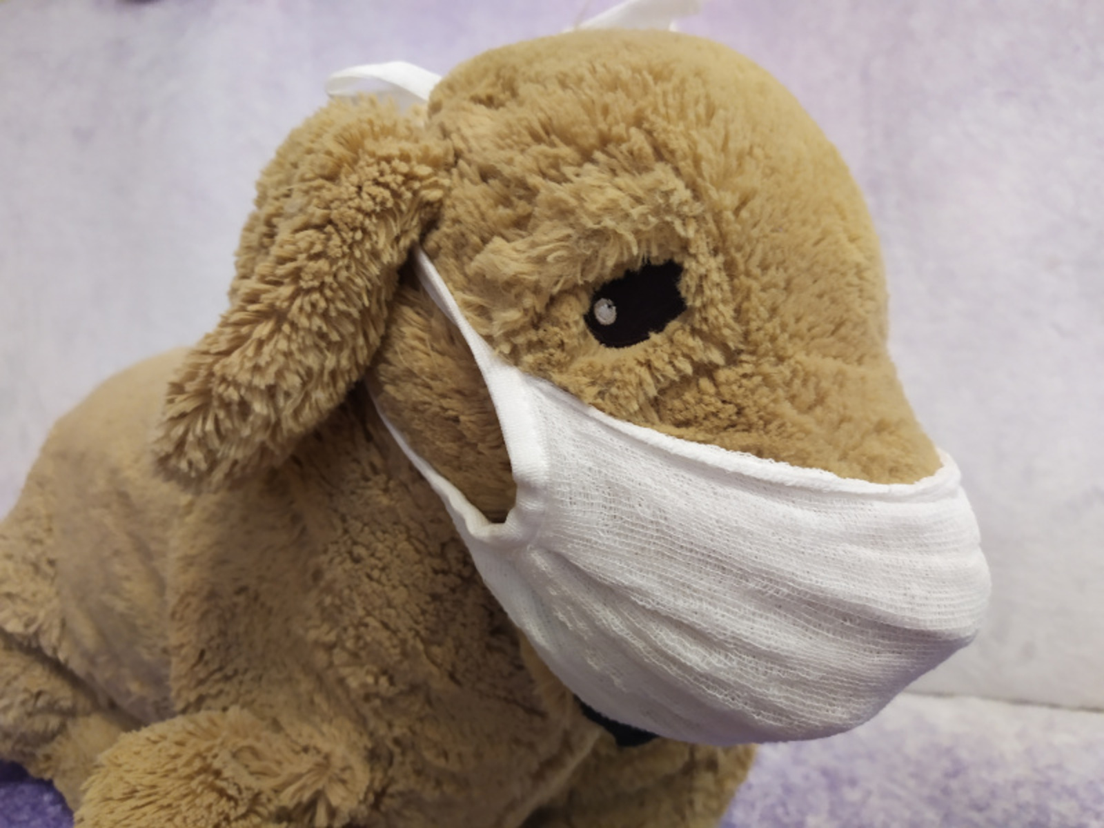 Фото Васили Саитовой.