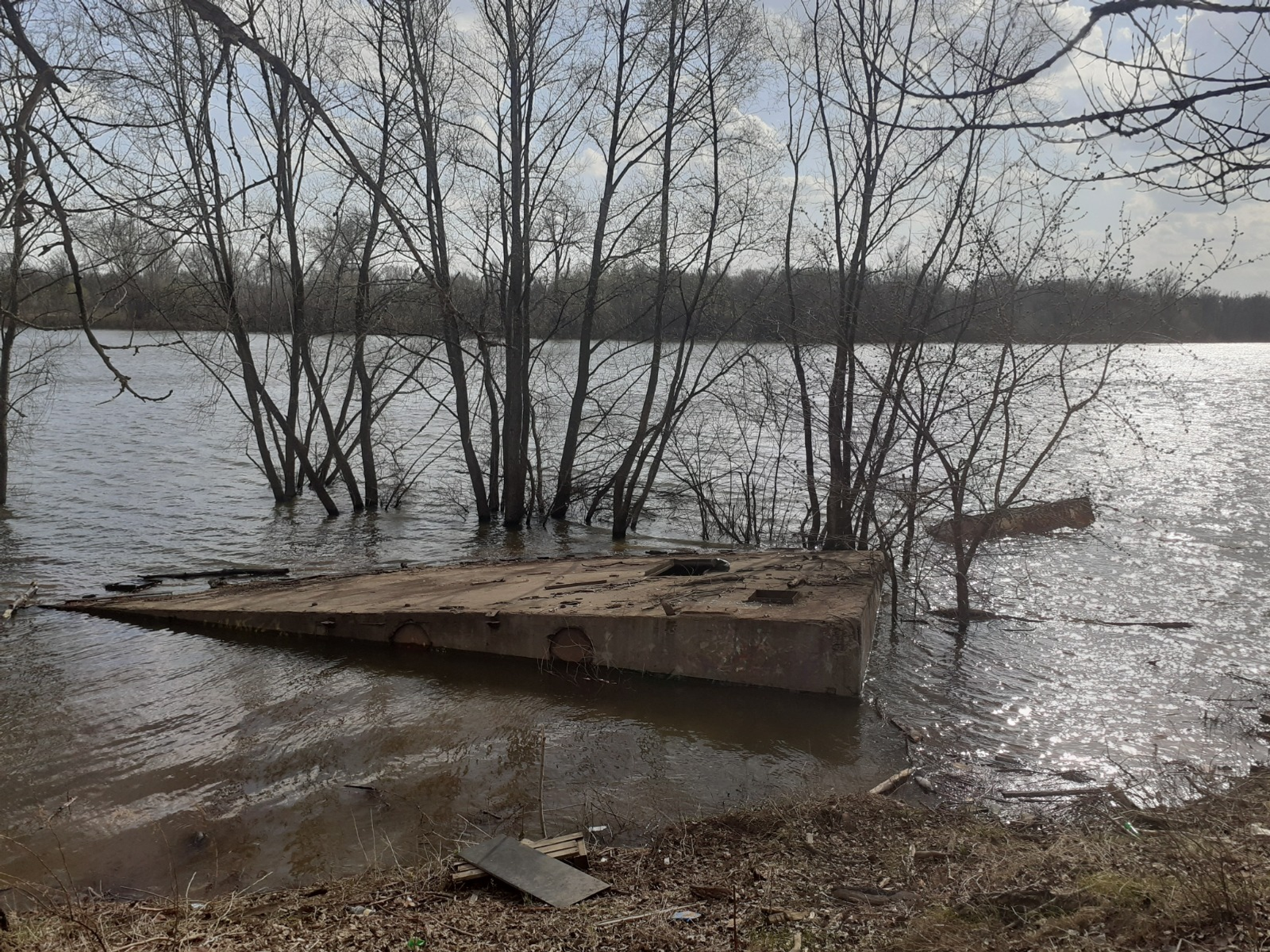 Владимира Шакиева. «Общественная электронная газета».