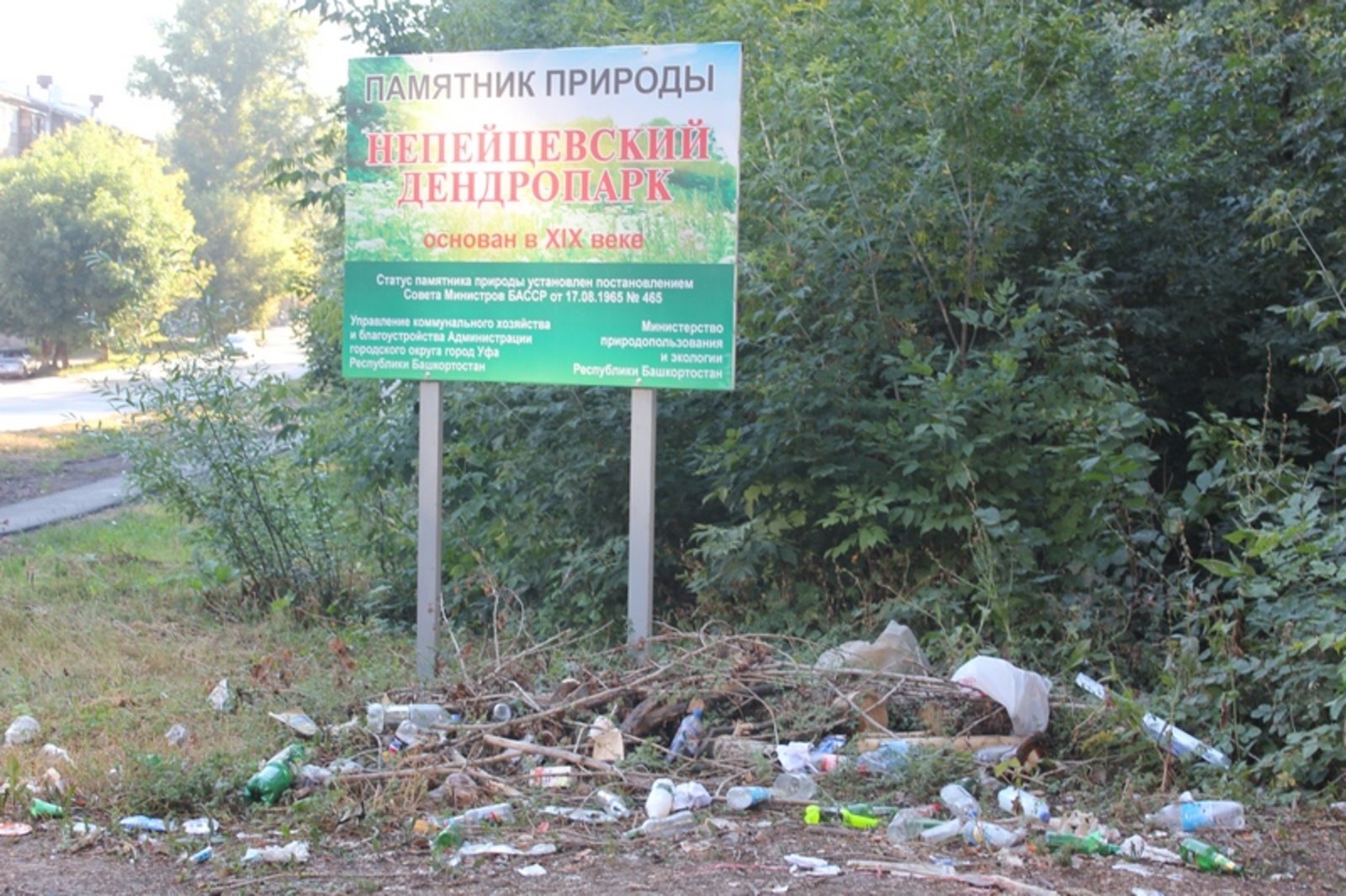 Фото автора.