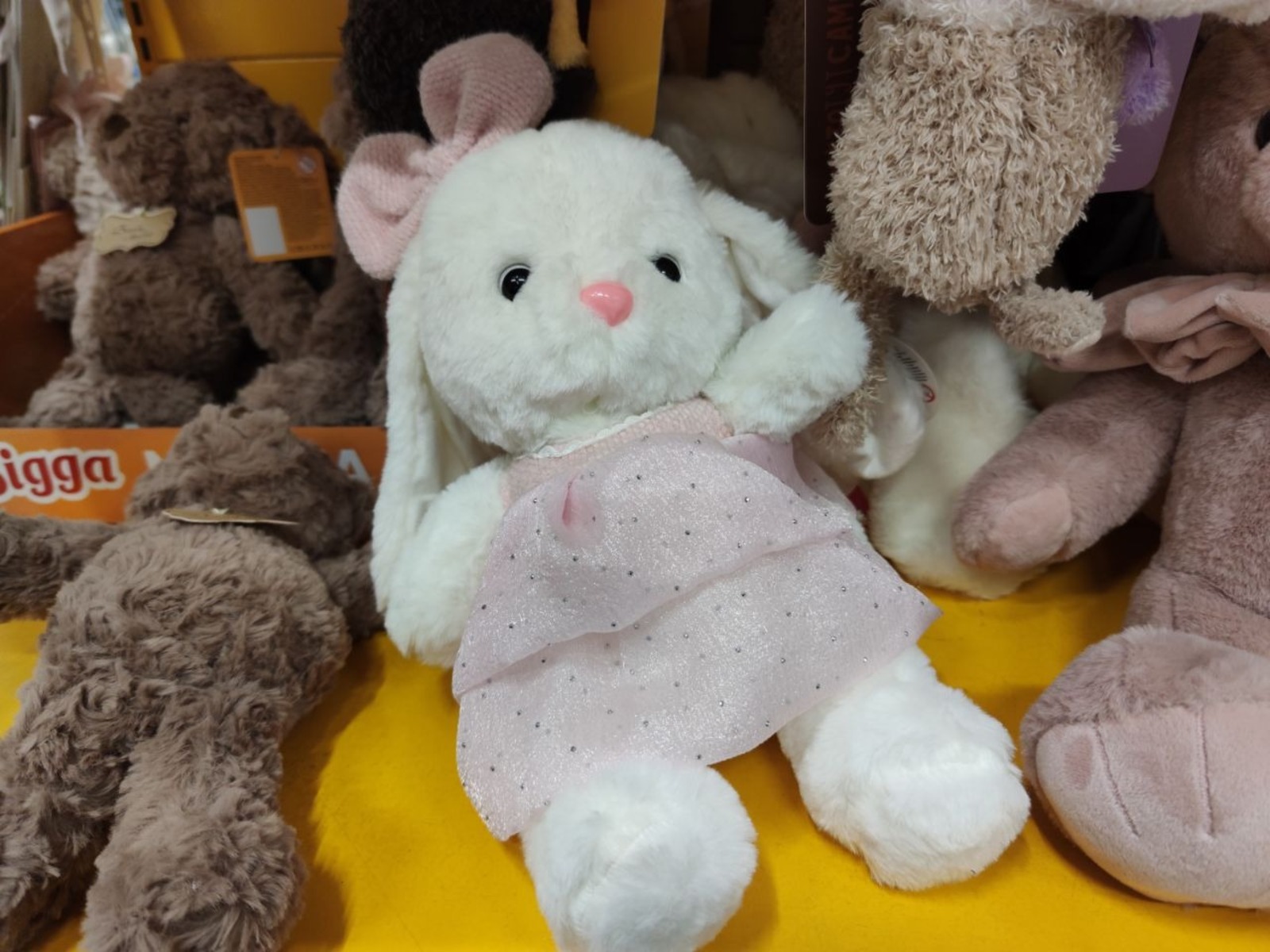 Дарьи Святохиной. «Общественная электронная газета».