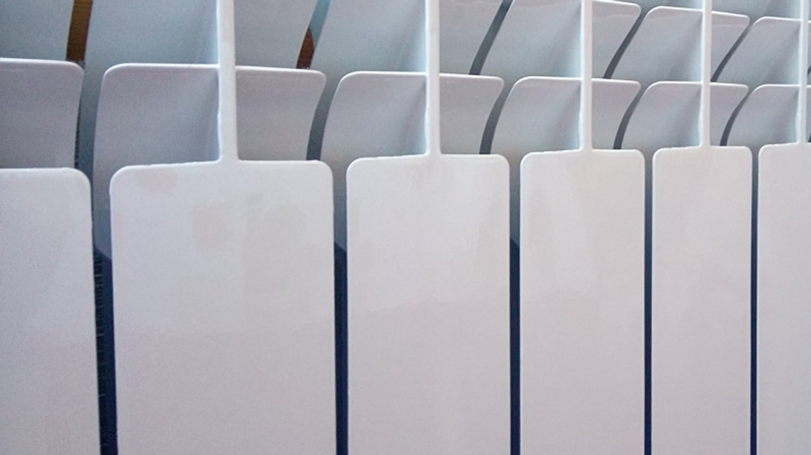 Фото Васили Саитовой.