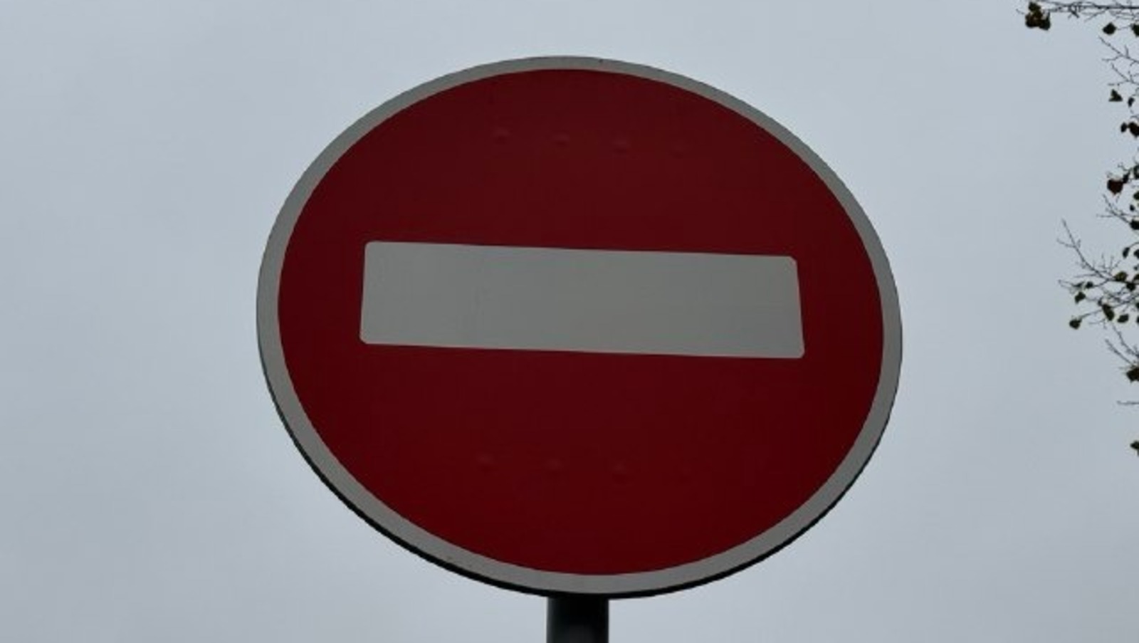 Елены Колоколовой.