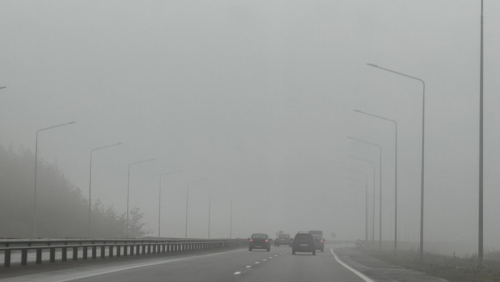 Елены Колоколовой.  «Общественная электронная газета».