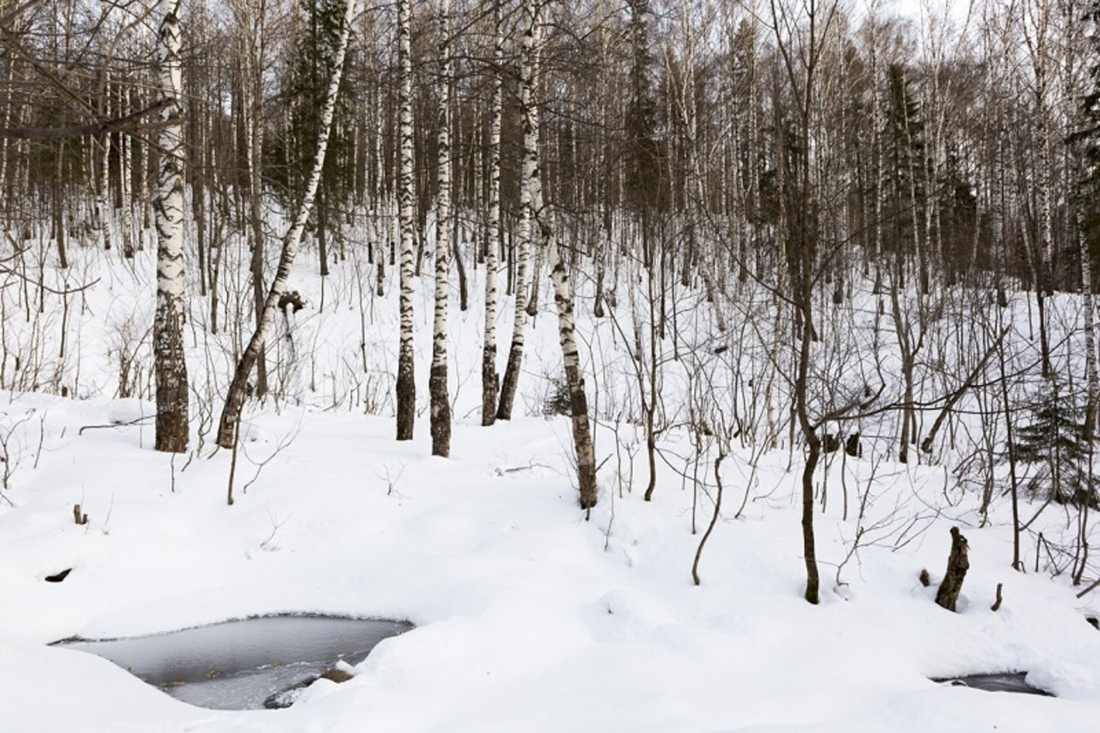 Фото Фаиля Абсатарова.