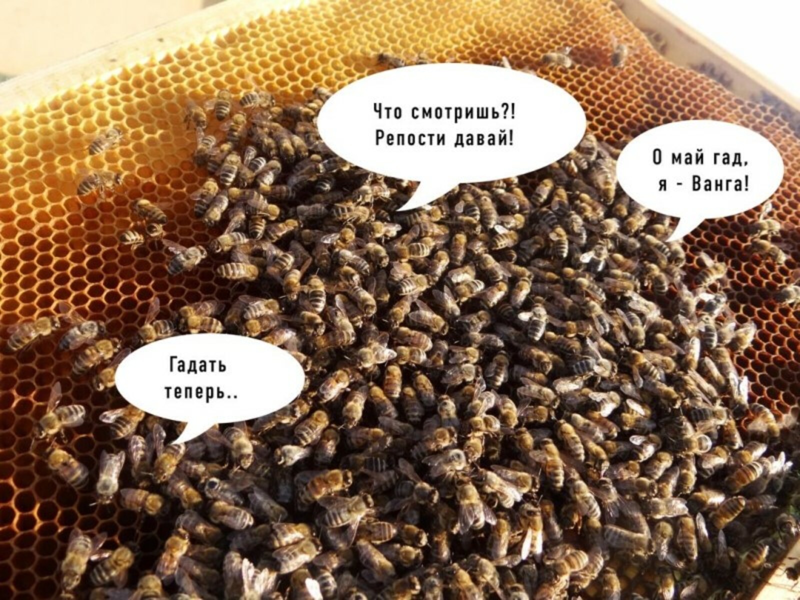 Фото предоставлено Николаем Антоновым.