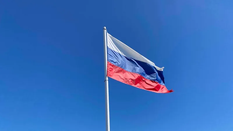 Елены Колоколовой.