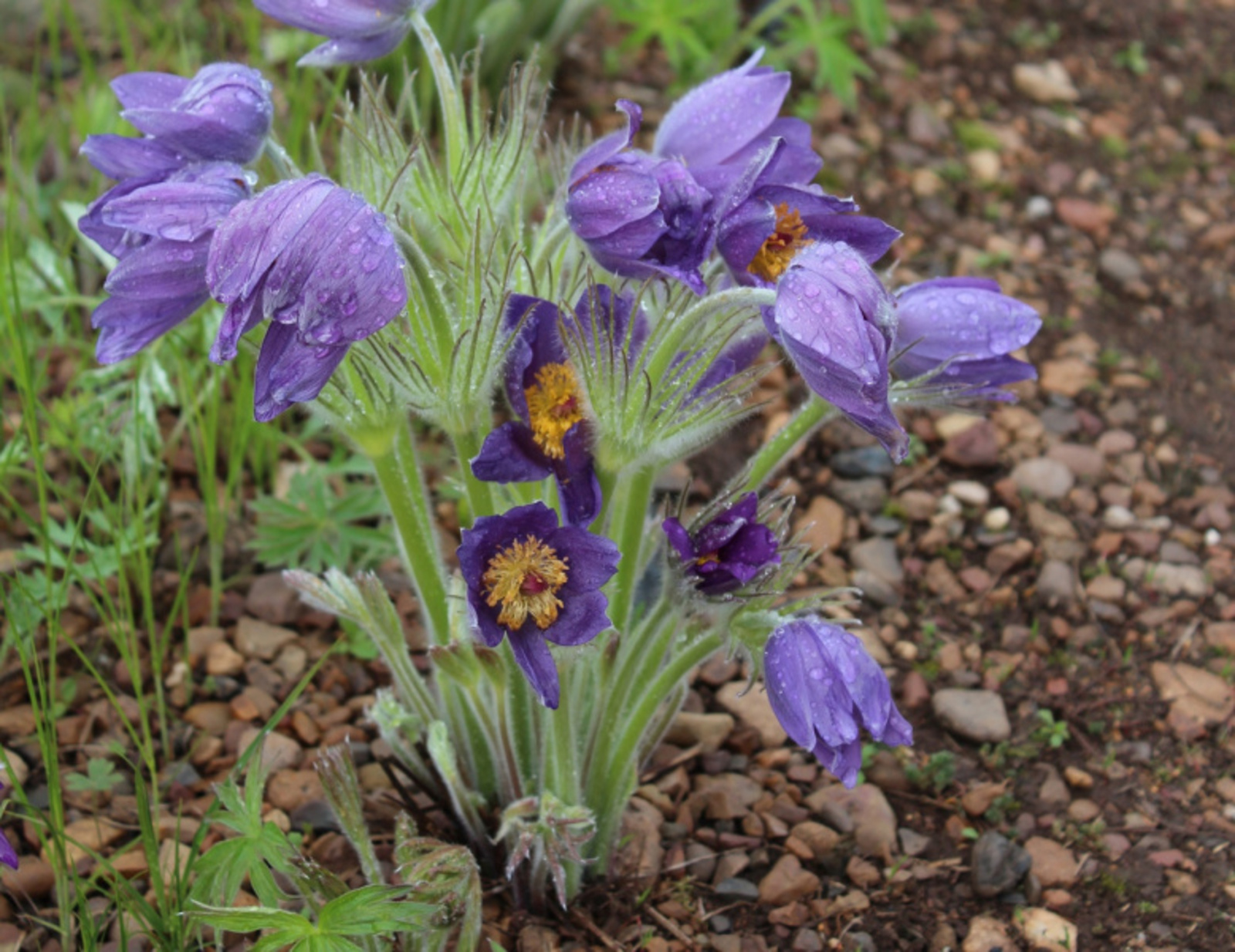 Фото автора.