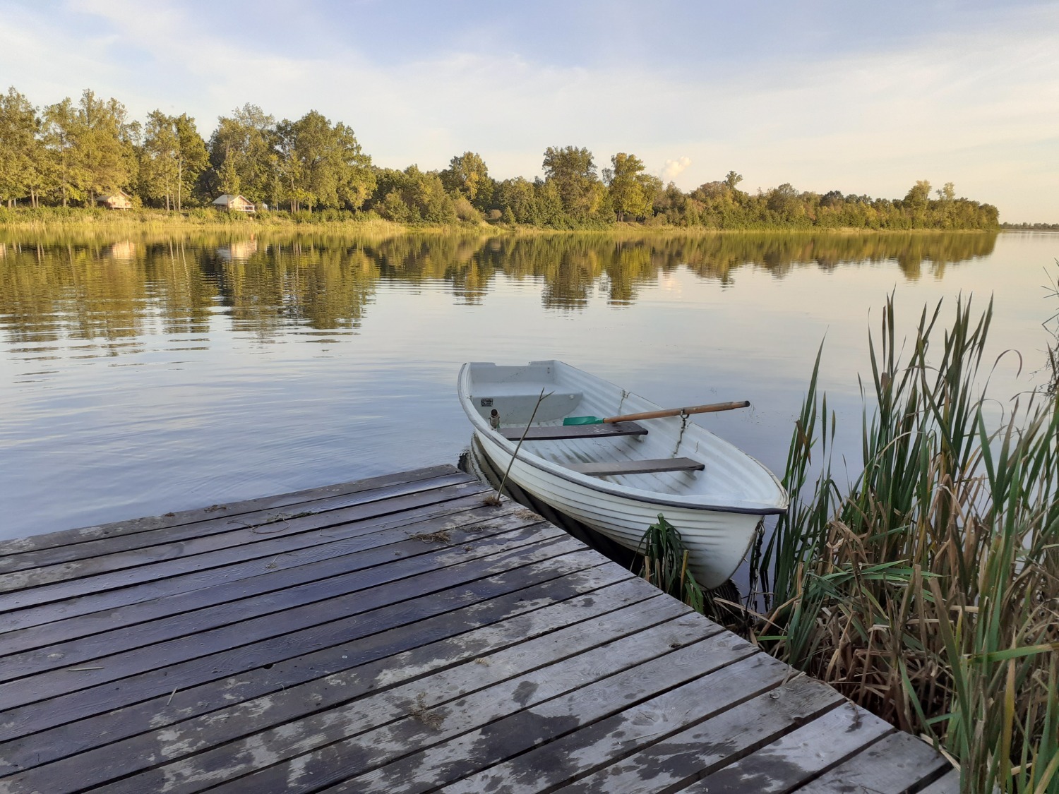 Владимира Шакиева.