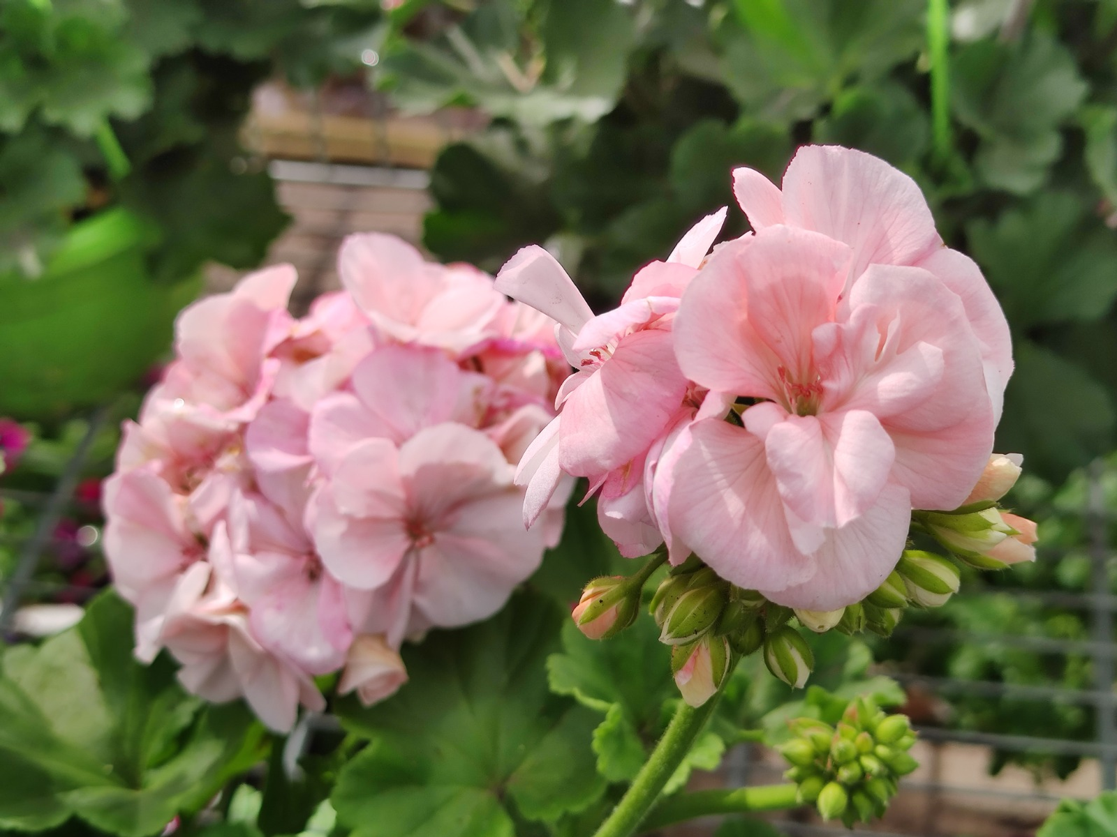 Дарьи Святохиной. «Общественная электронная газета».