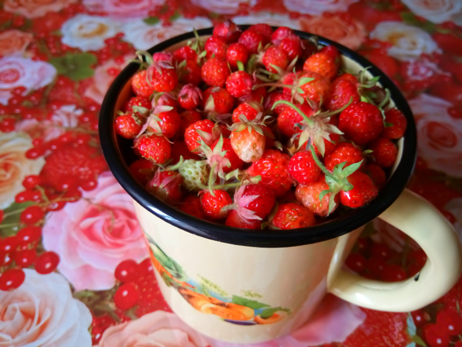 Фото Васили Саитовой.