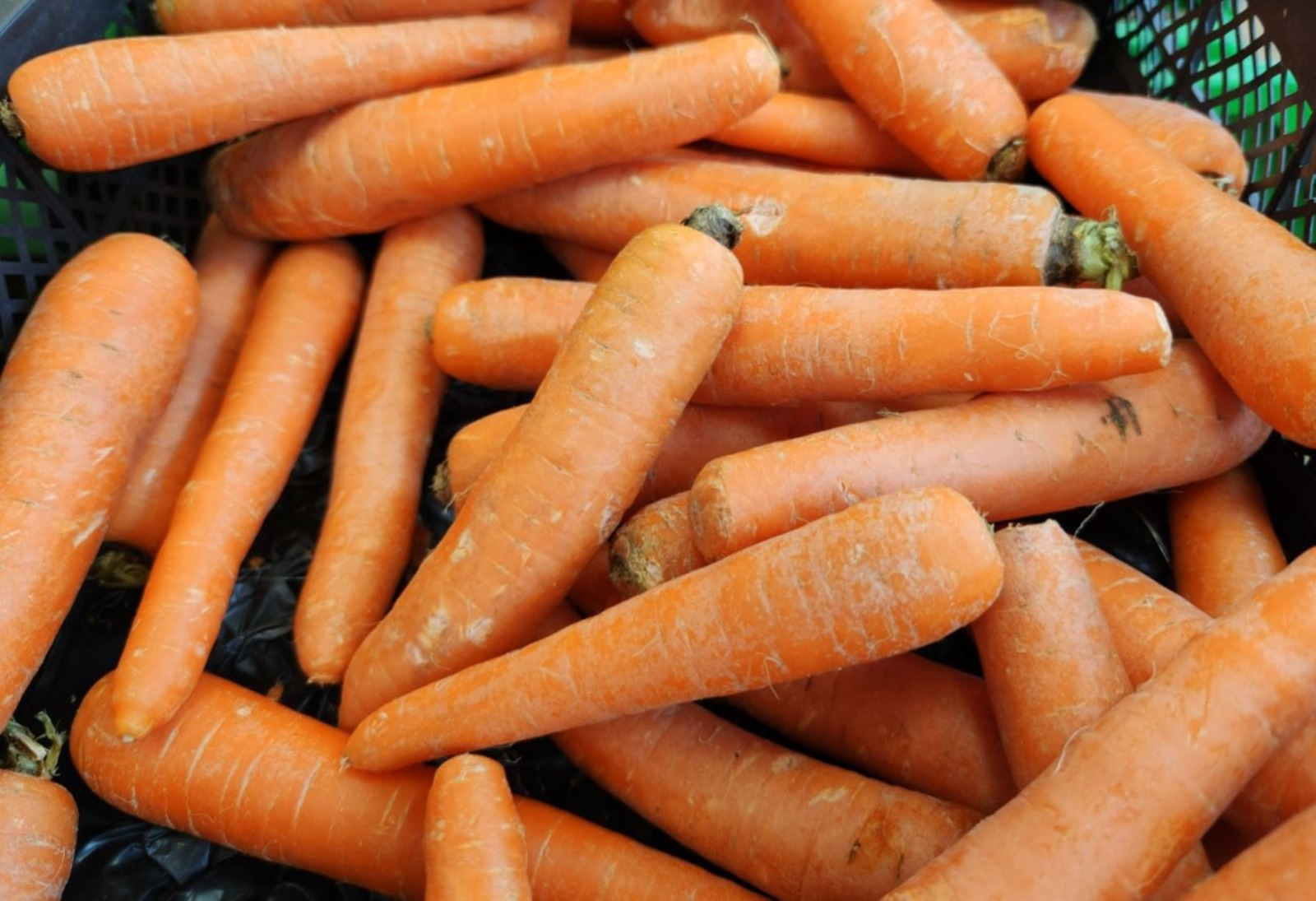 Дарьи Святохиной.