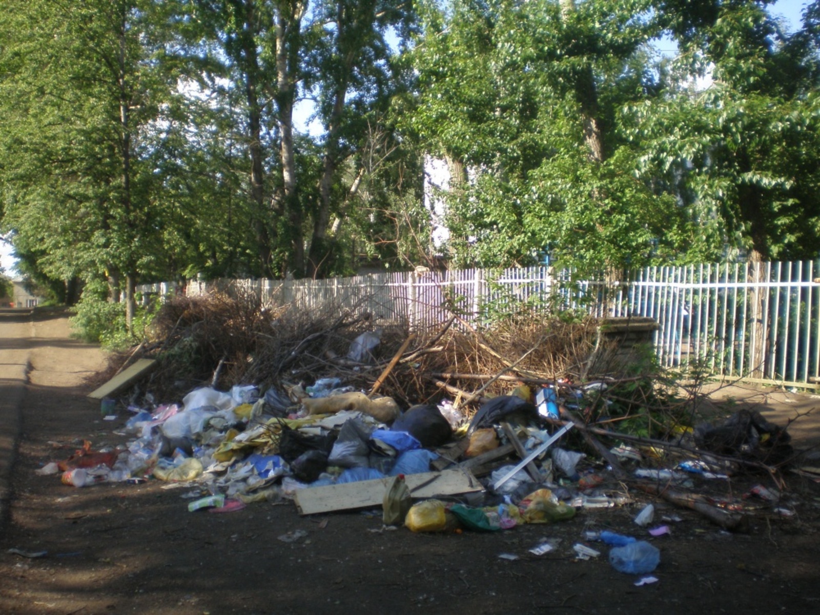 Фото автора.