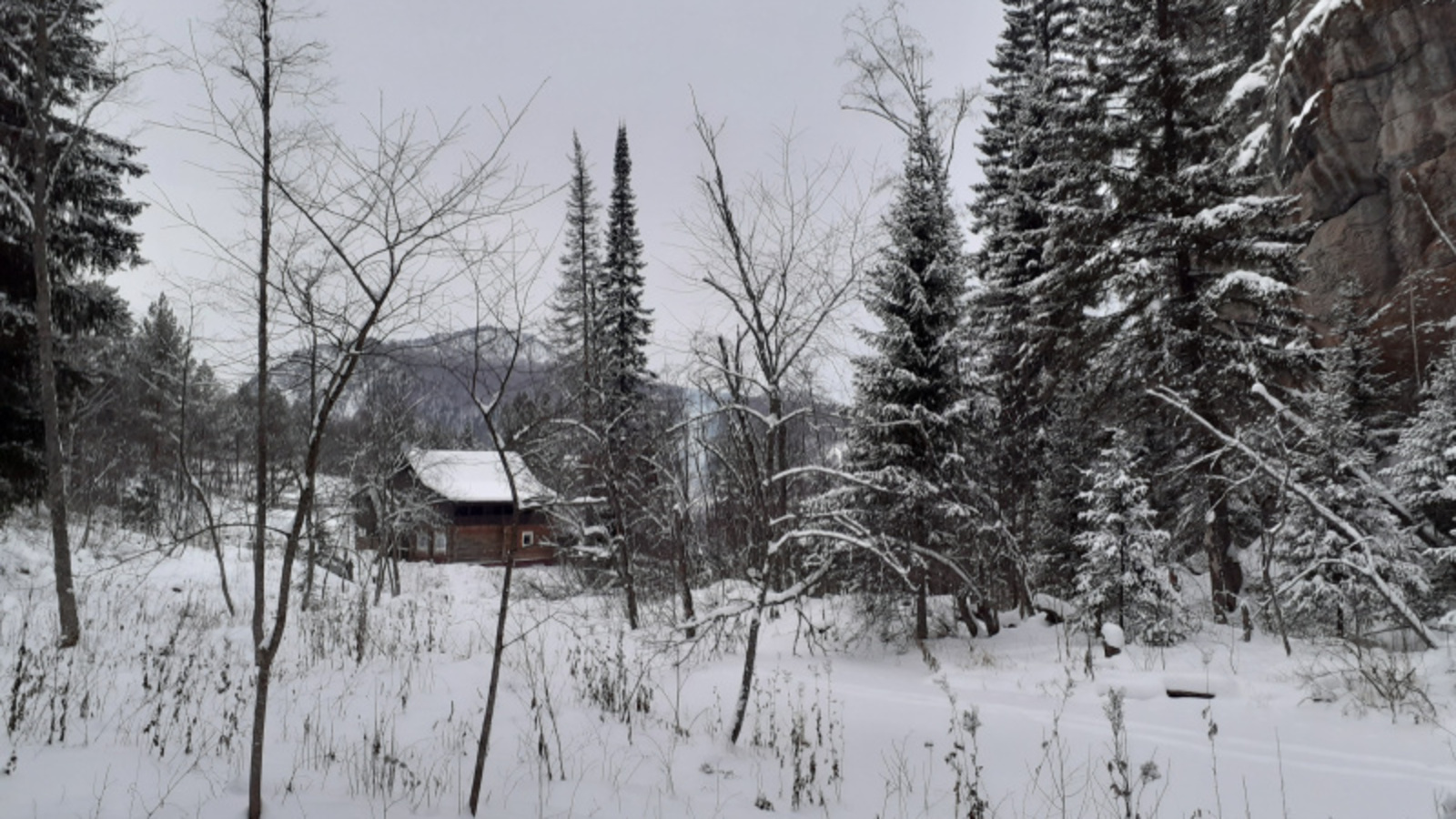 Фото автора.